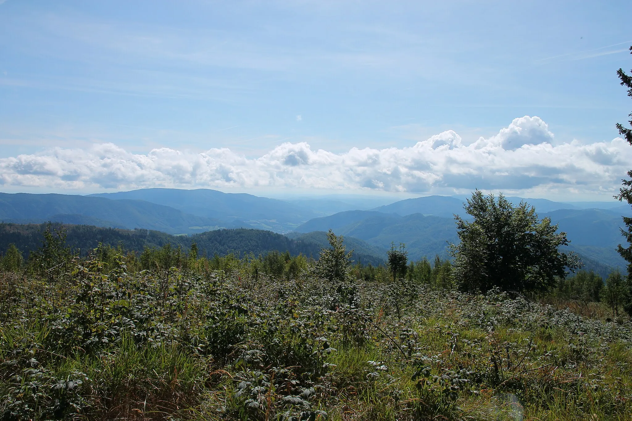 Photo showing: Fabova hoľa, Muránská planina