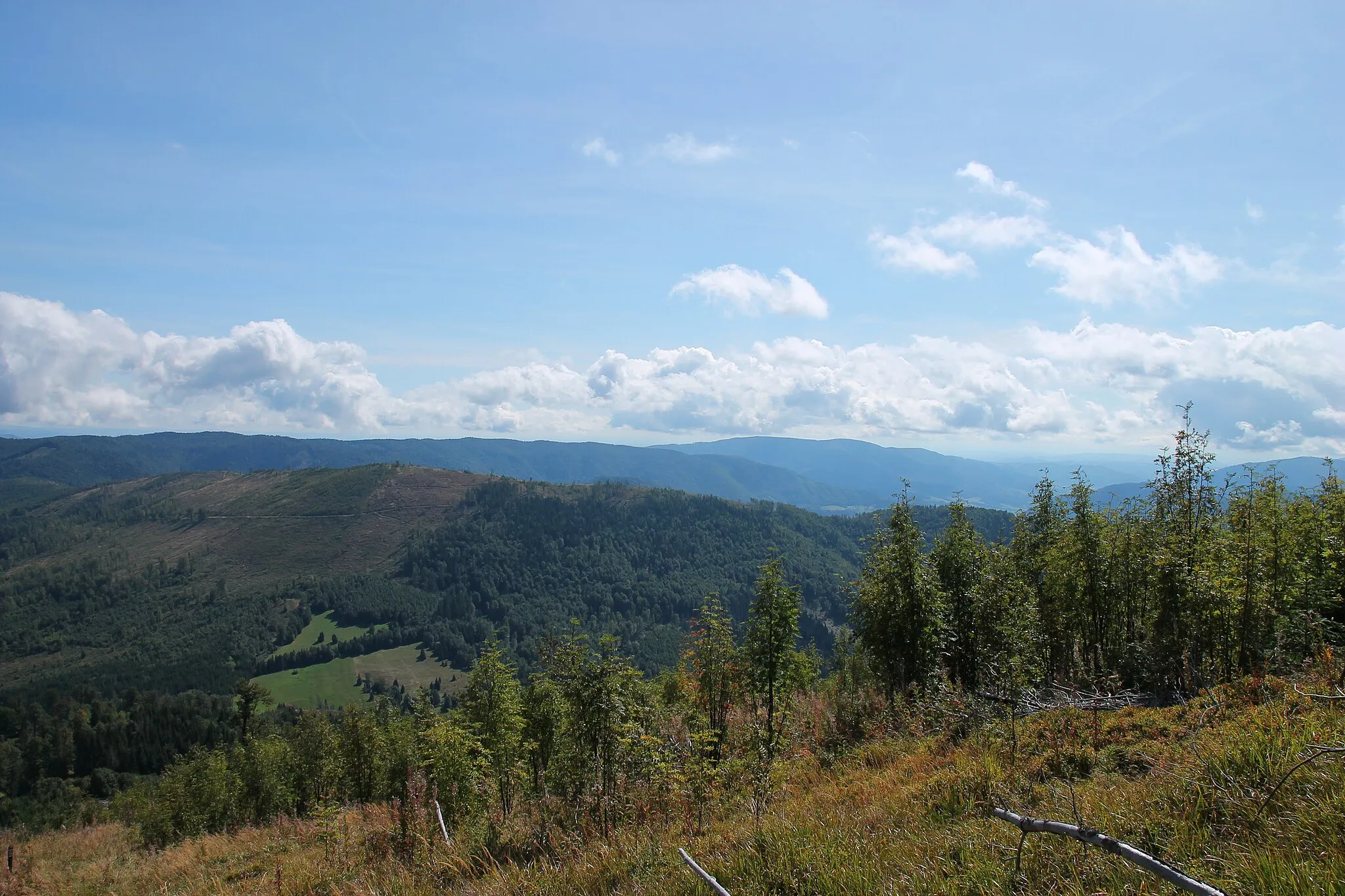 Photo showing: Fabova hoľa, Muránská planina