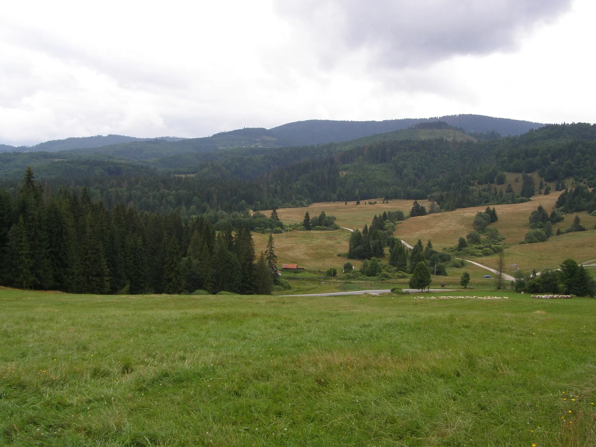 Photo showing: Slovenské rudohoří, Veporské vrchy, Fabova hoľa, sedlo Zbojská