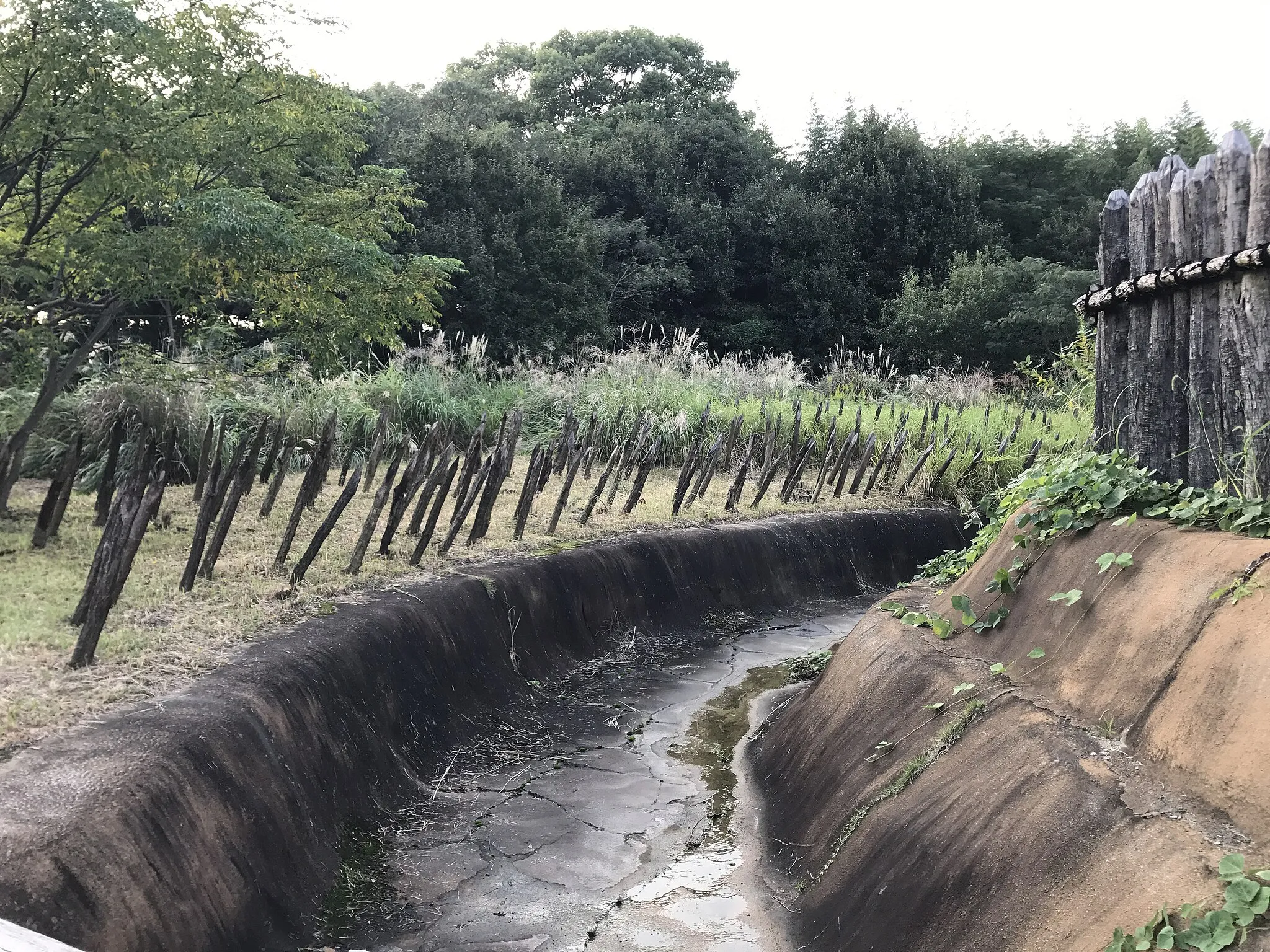 Photo showing: 吉野ヶ里歴史公園・環濠入口広場付近の逆茂木