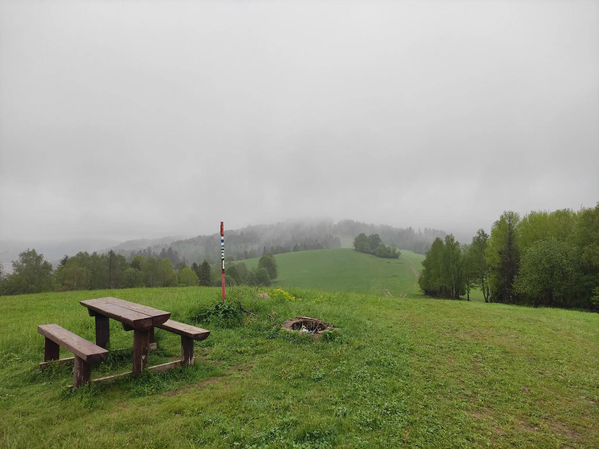 Photo showing: Vrchol kopce Hackov vrch, Oščadnica, okres Čadca, Kysucké Beskydy, Žilinský kraj, Slovensko