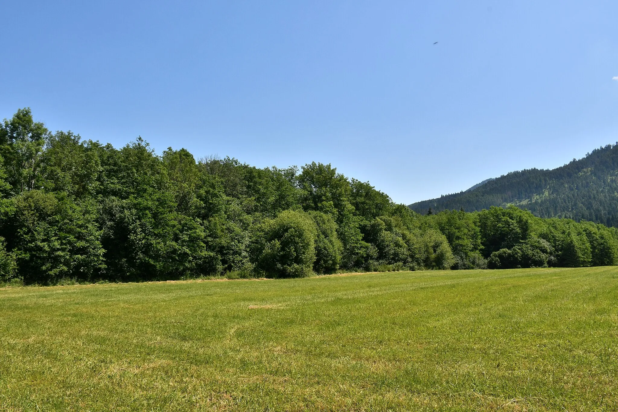 Photo showing: Jelšie - maloplošné chránené územie; prírodná rezervácia; identifikačné číslo v zozname MCHÚ: 290