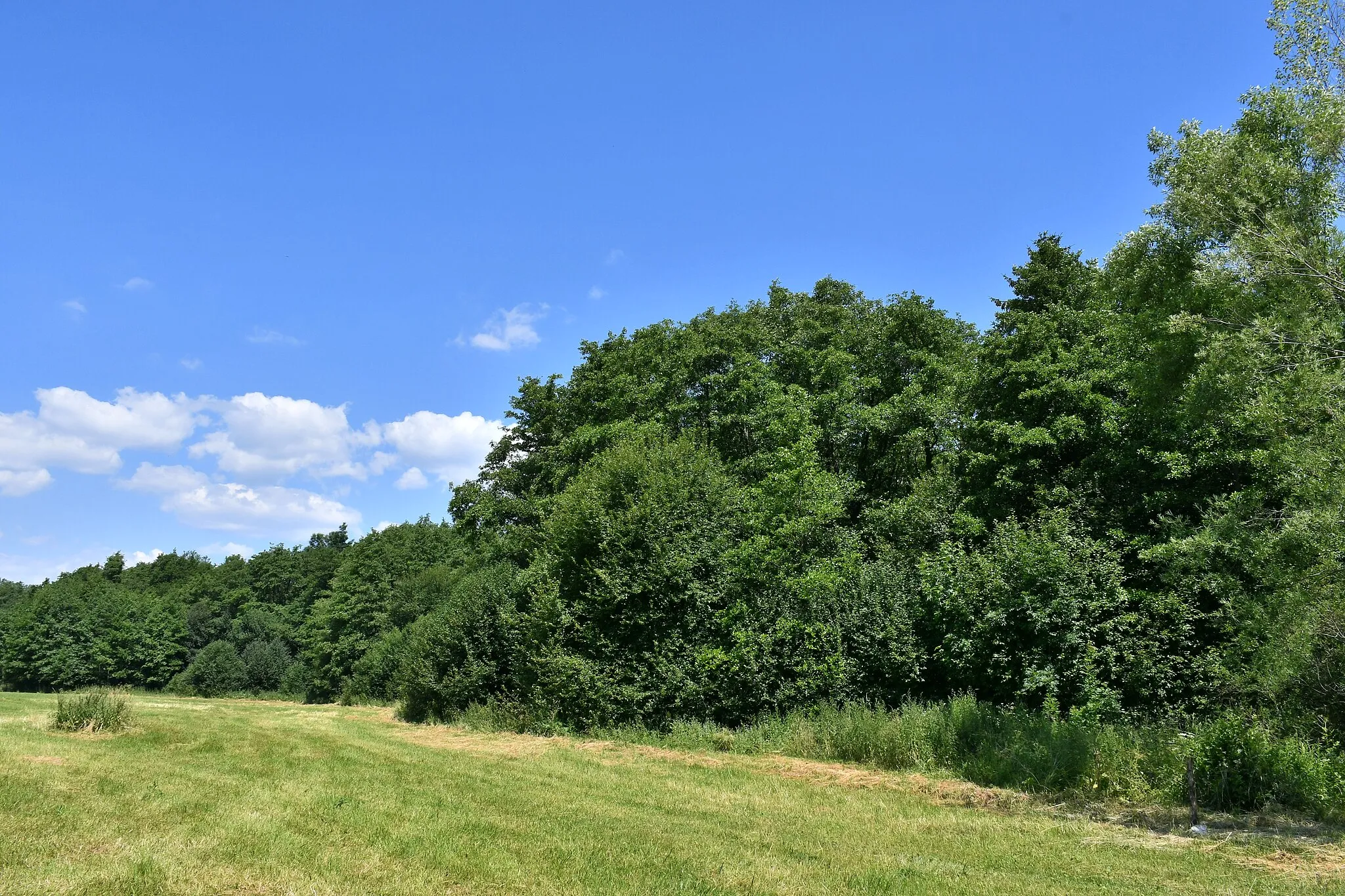 Photo showing: Jelšie - maloplošné chránené územie; prírodná rezervácia; identifikačné číslo v zozname MCHÚ: 290