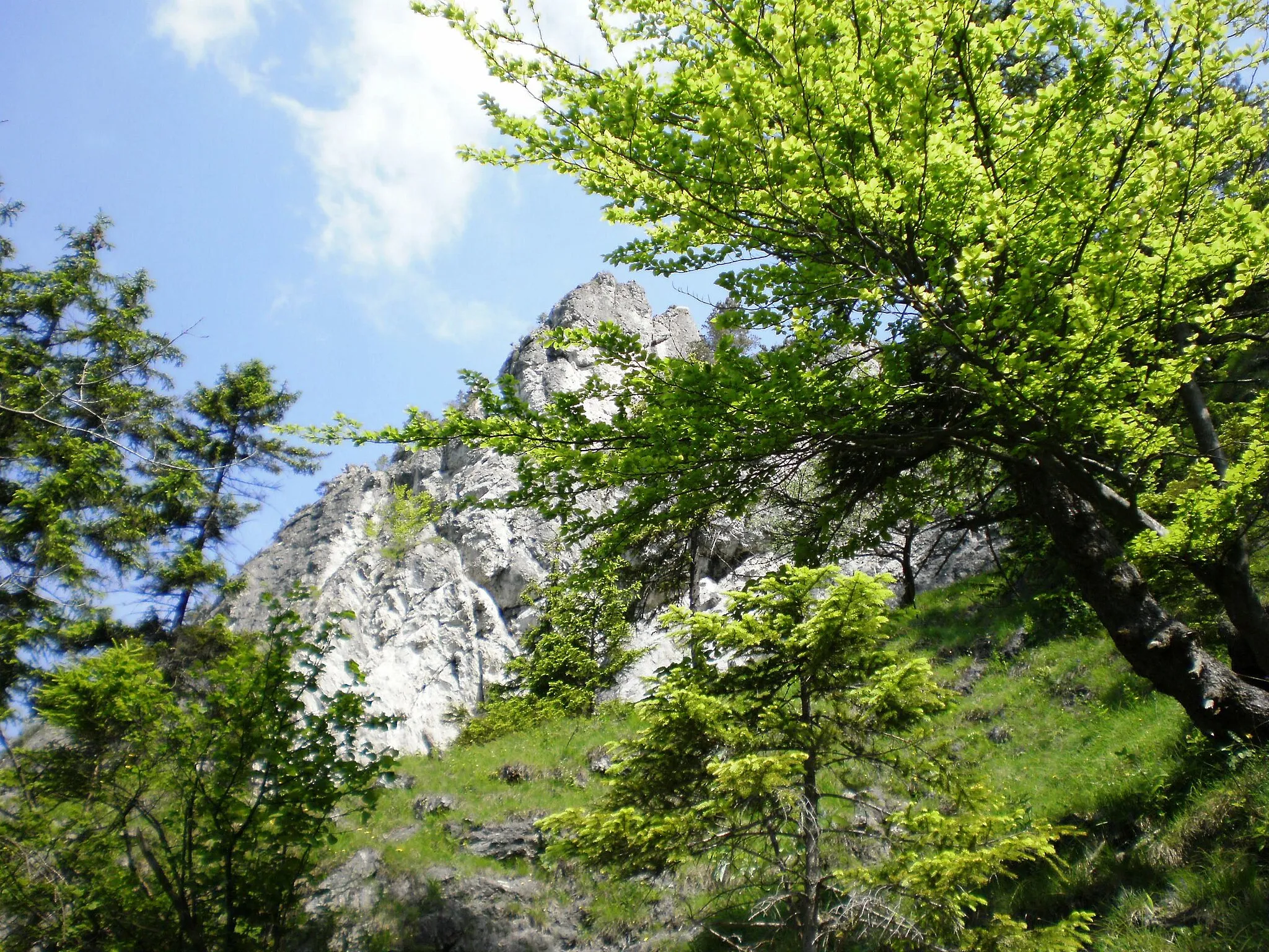 Photo showing: Stúpanie na Boboty od tiesňav