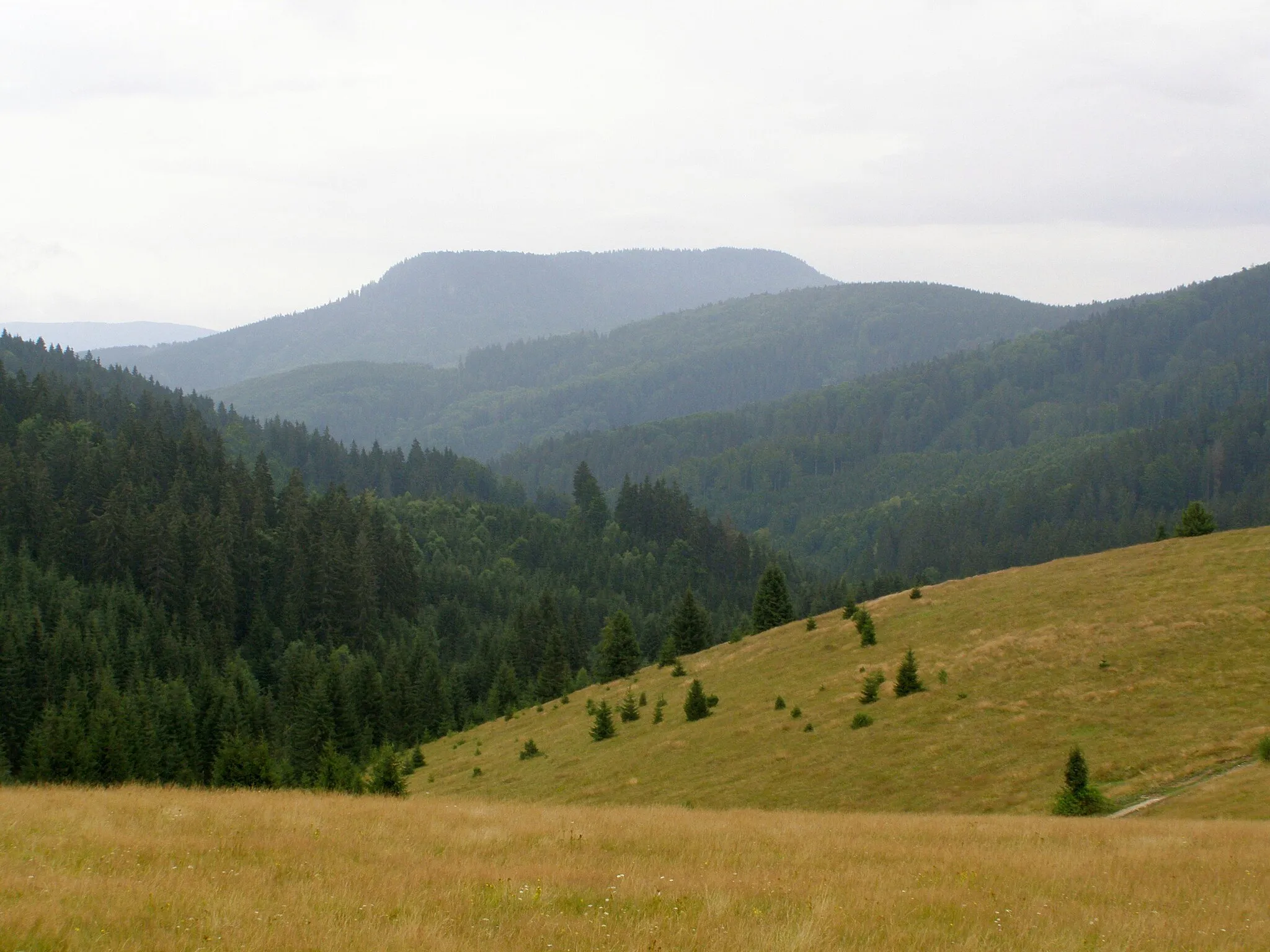 Photo showing: Slovenské rudohoří, Veporské vrchy, Balocké vrchy, pohled z osady Kysuce na severovýchod, vzadu Klenovský Vepor (1338 m)