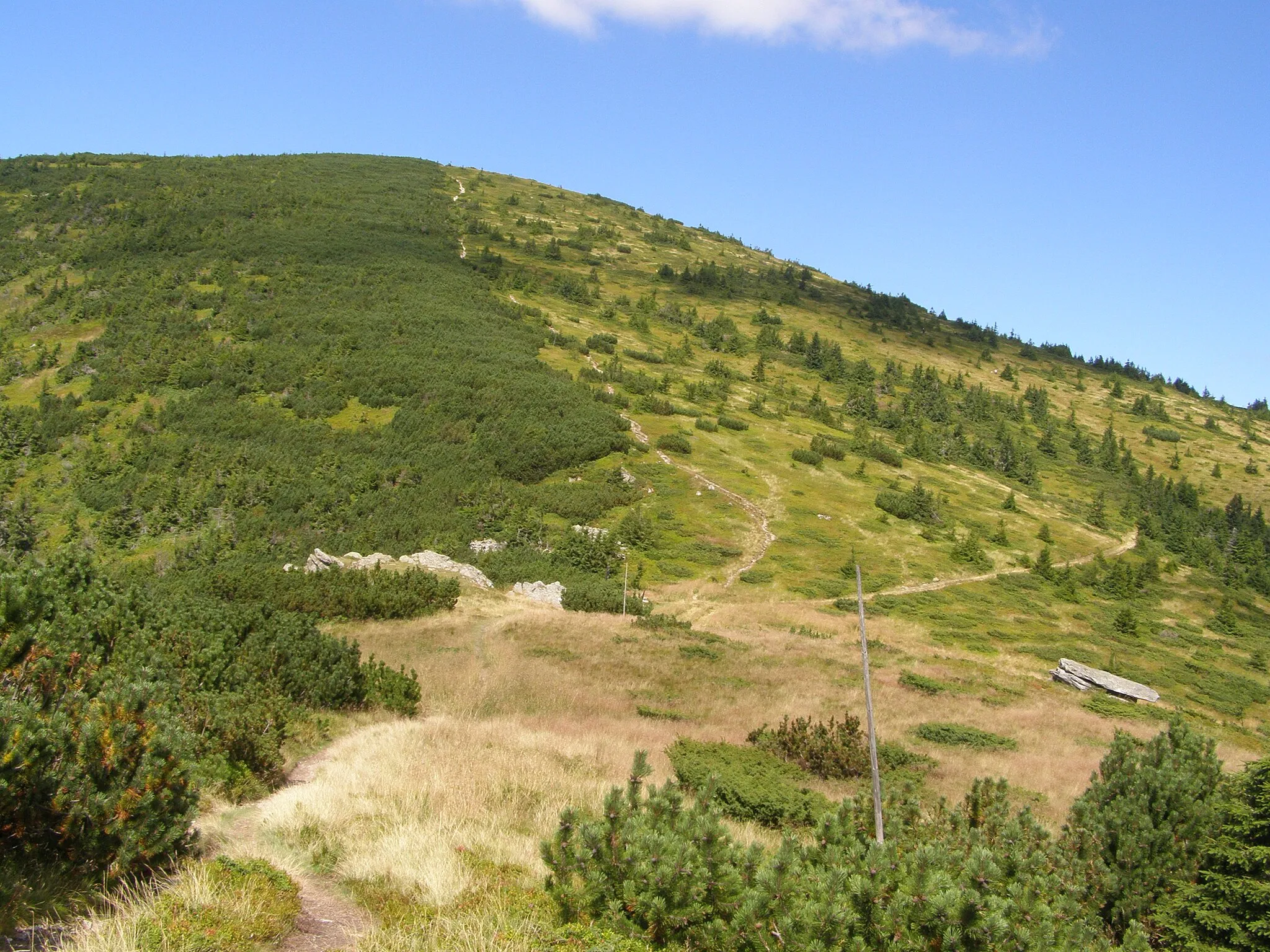 Photo showing: Nízké Tatry, Kráľovohoľské Tatry, pohled ze sedla Priehybka na východní úbočí vrcholu Veľká Vápenica (1691 m)