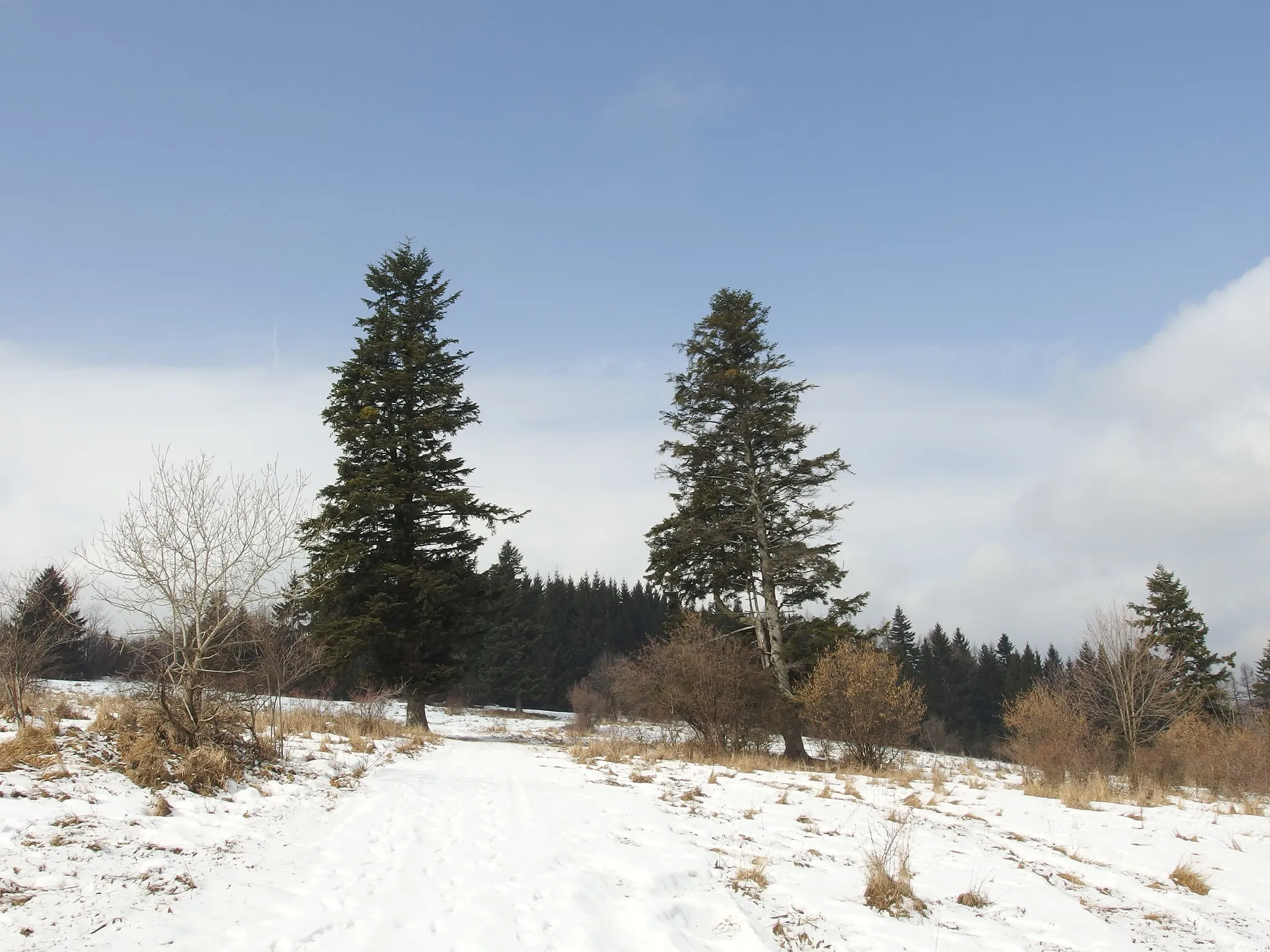 Photo showing: Cesta k rozhľadni