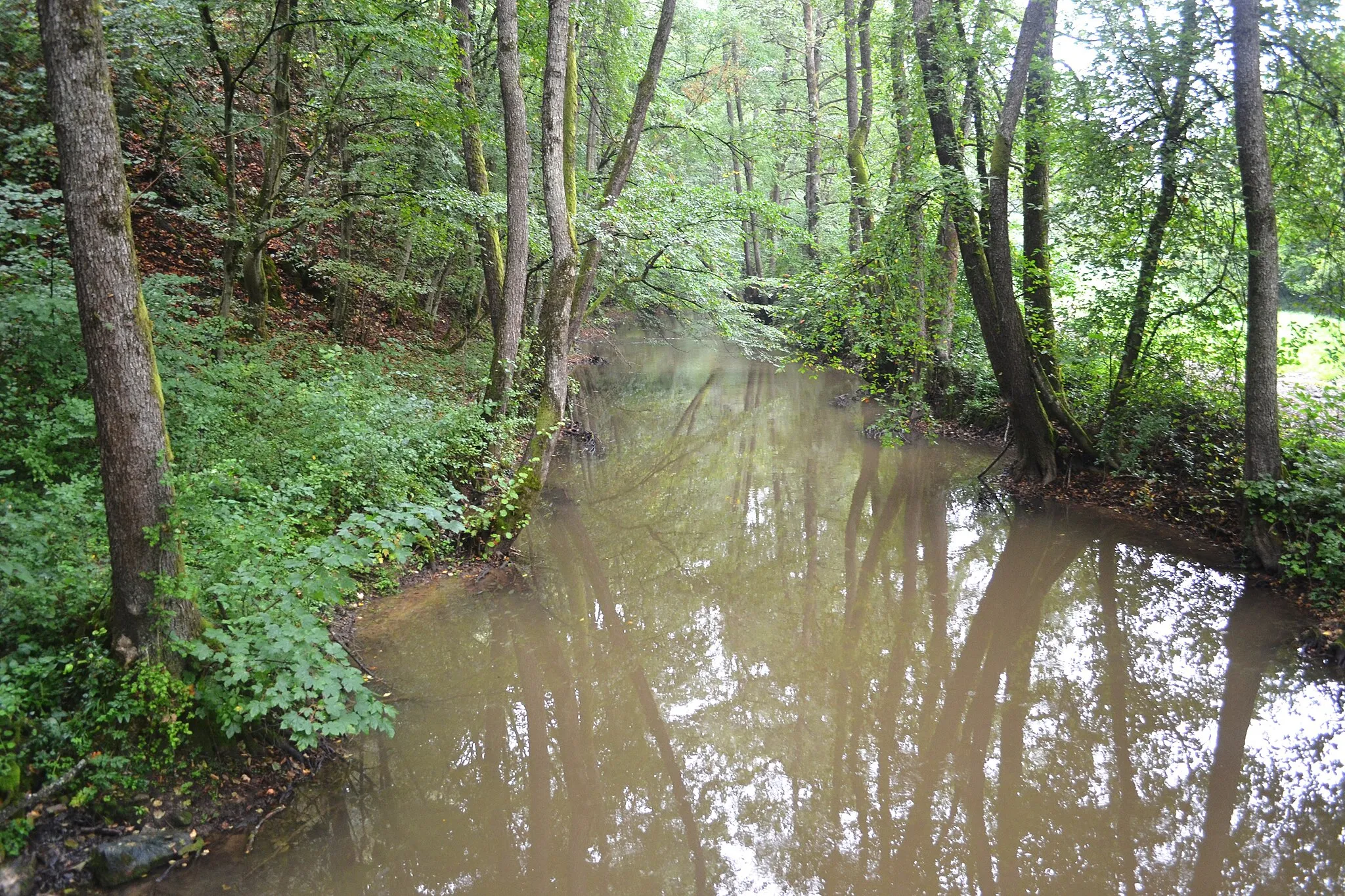 Photo showing: Rieka Muráň pri obci Meliata (južne od Meliatskeho profilu)