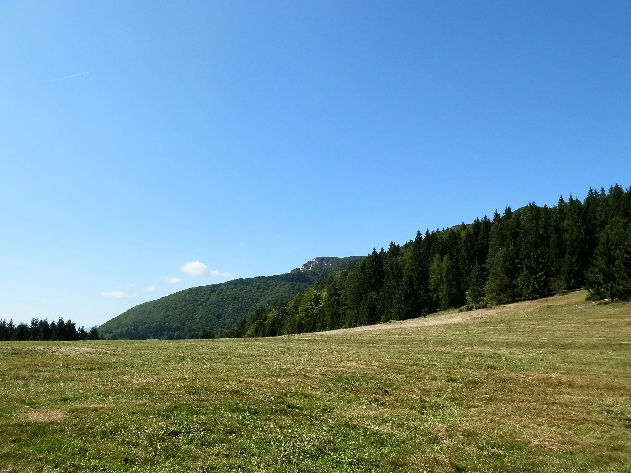 Photo showing: Pasienky nad Škútovou dolinou