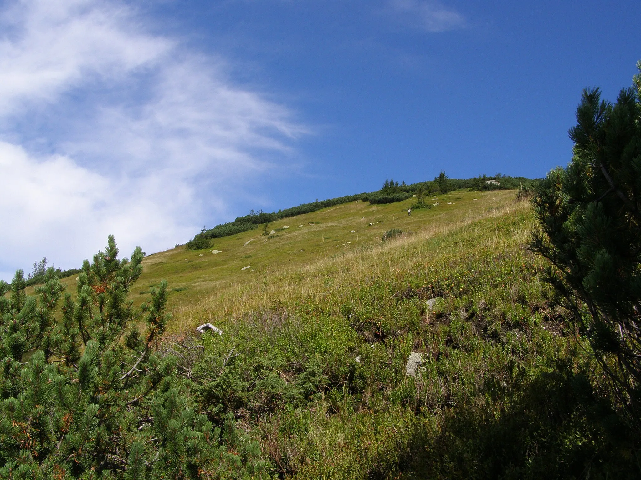 Photo showing: Nízké Tatry, Ďumbierské Tatry, jižní svah vrcholu Prašivá (1652 m)