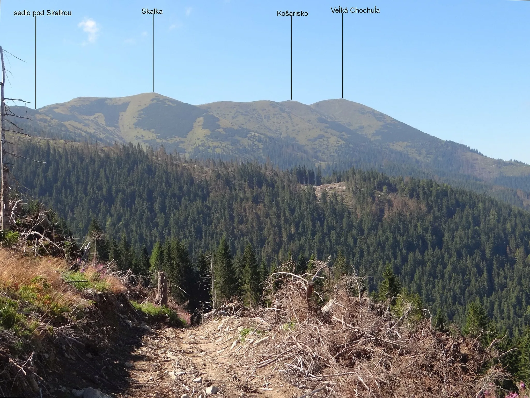 Photo showing: Skalka, Košarisko, Veľká Chochuľa