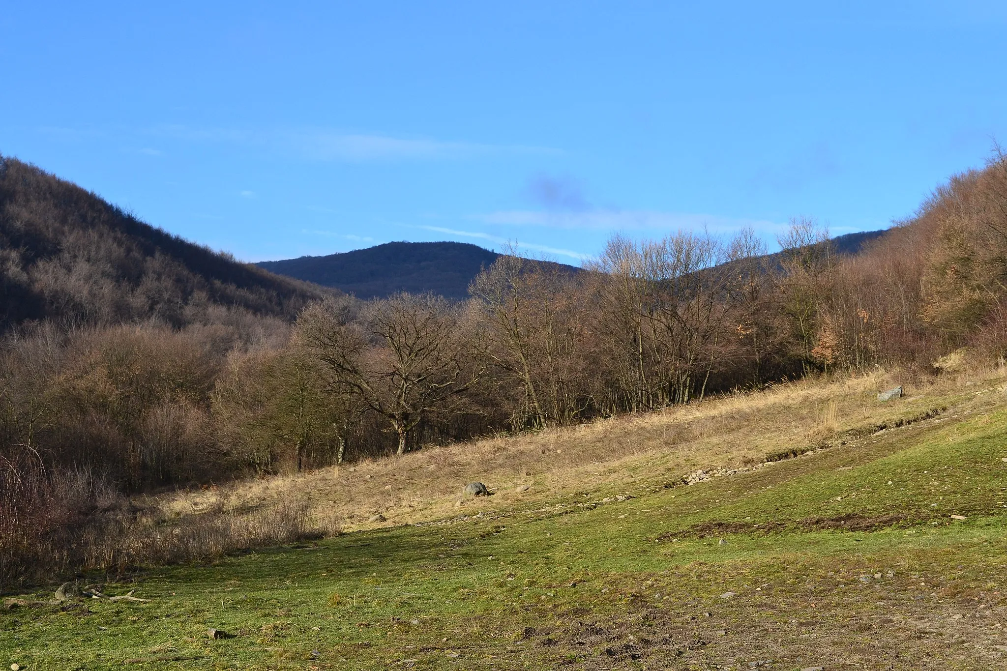 Photo showing: Veľký Inovec - Lúka