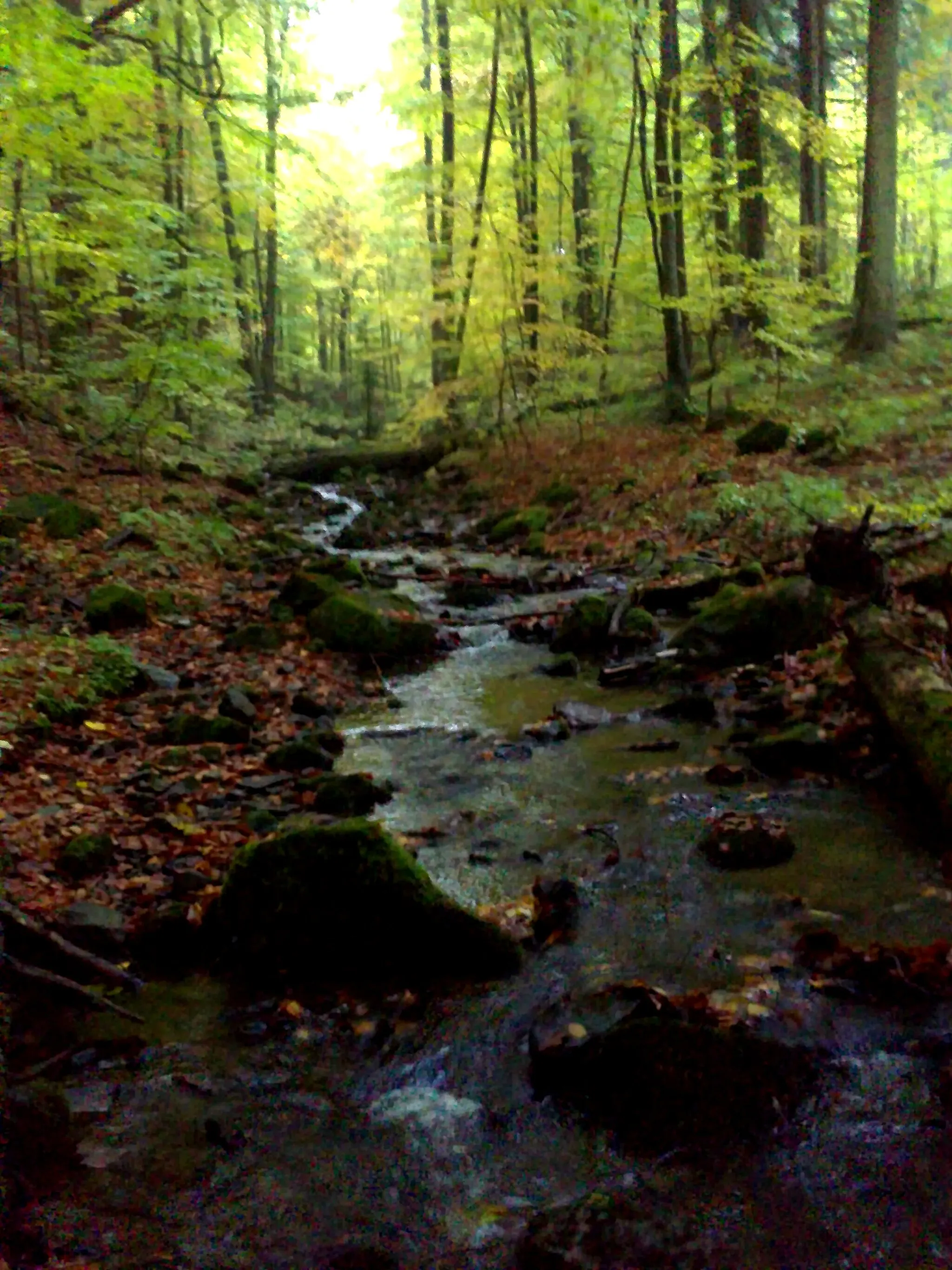 Photo showing: Pohľad na údolie Badínskeho potoka.