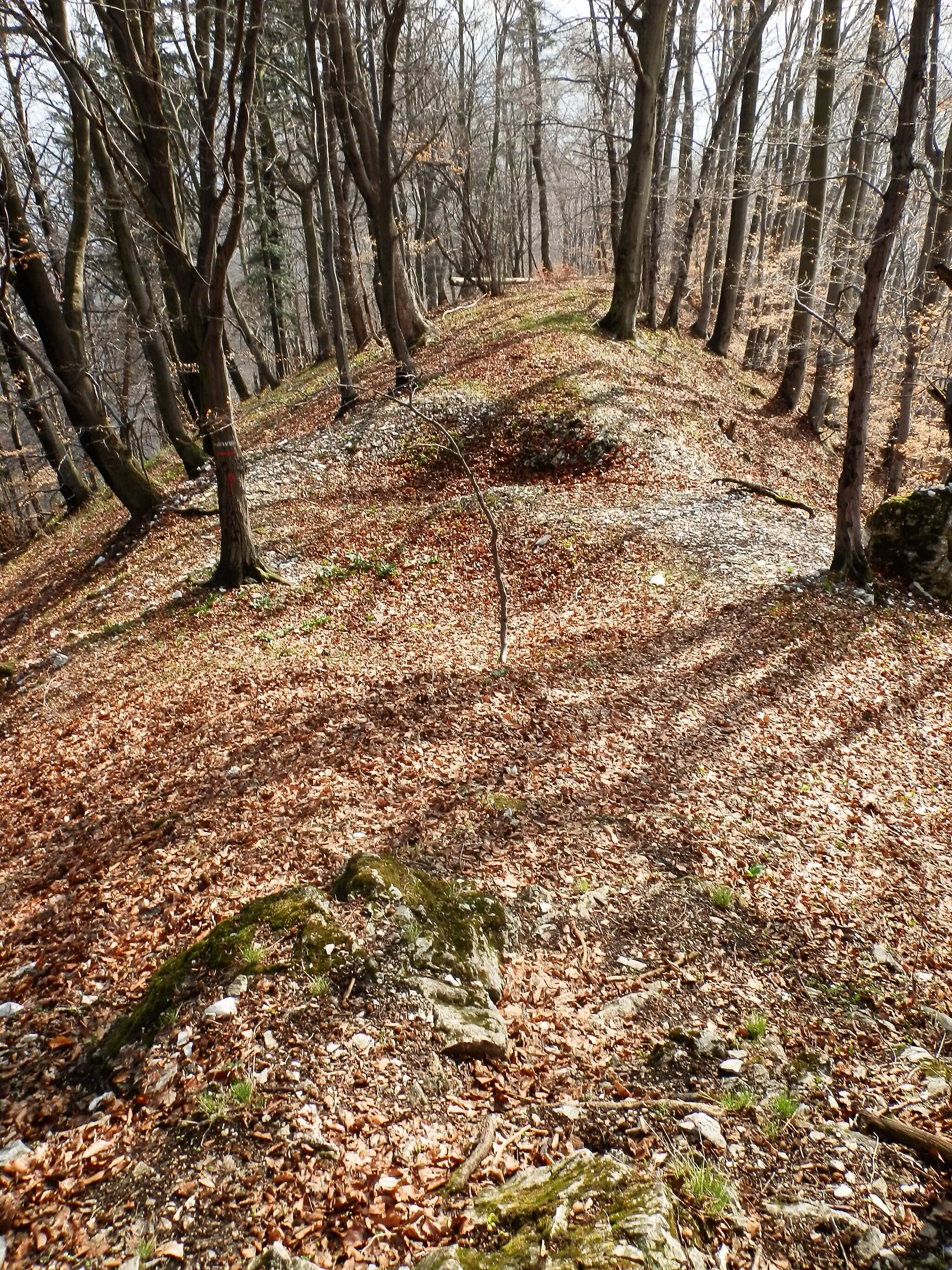 Photo showing: Hrebeň Rochovice