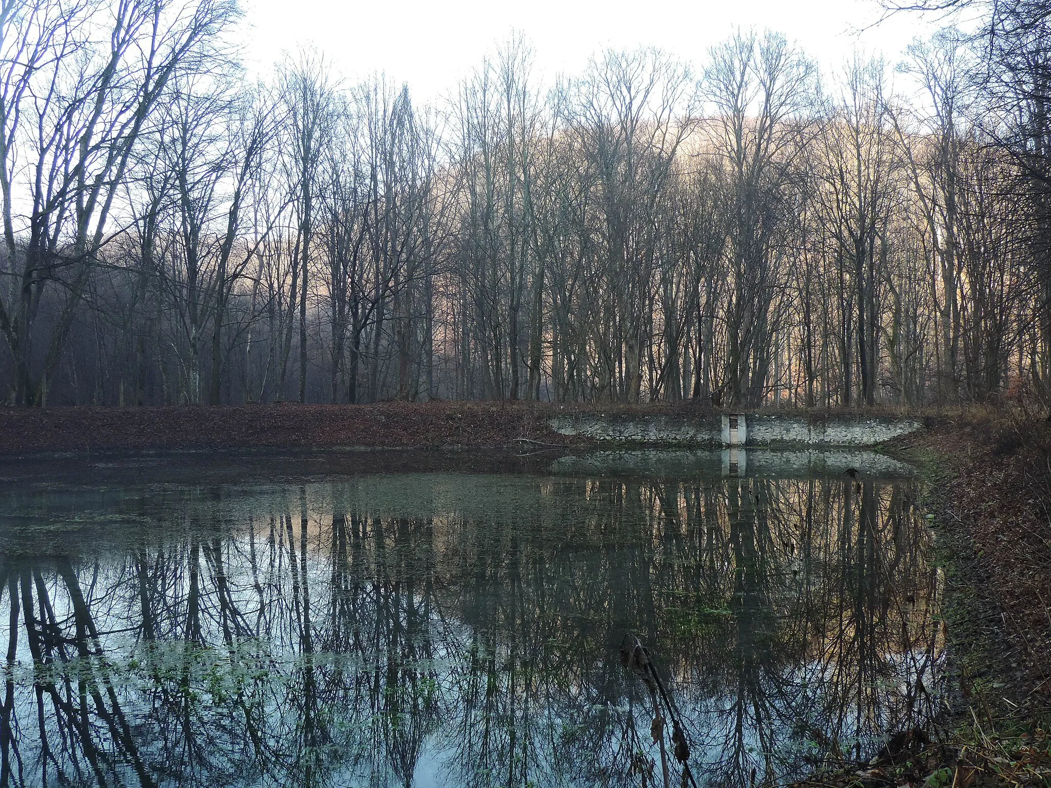 Photo showing: Pri rybníku