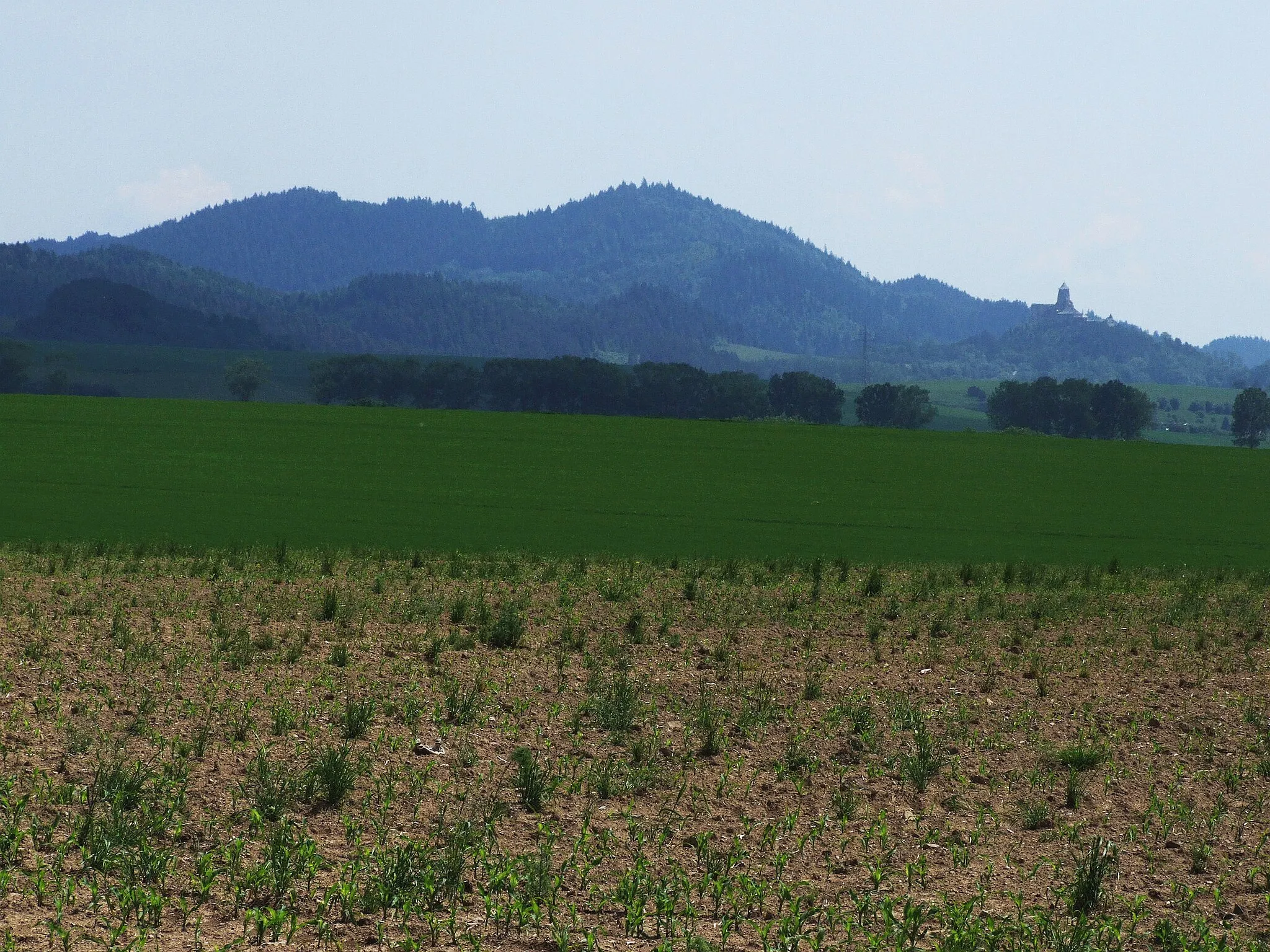 Photo showing: Niemiecki Wierch i Zamek Lubowelski. Widok z Jarzębiny