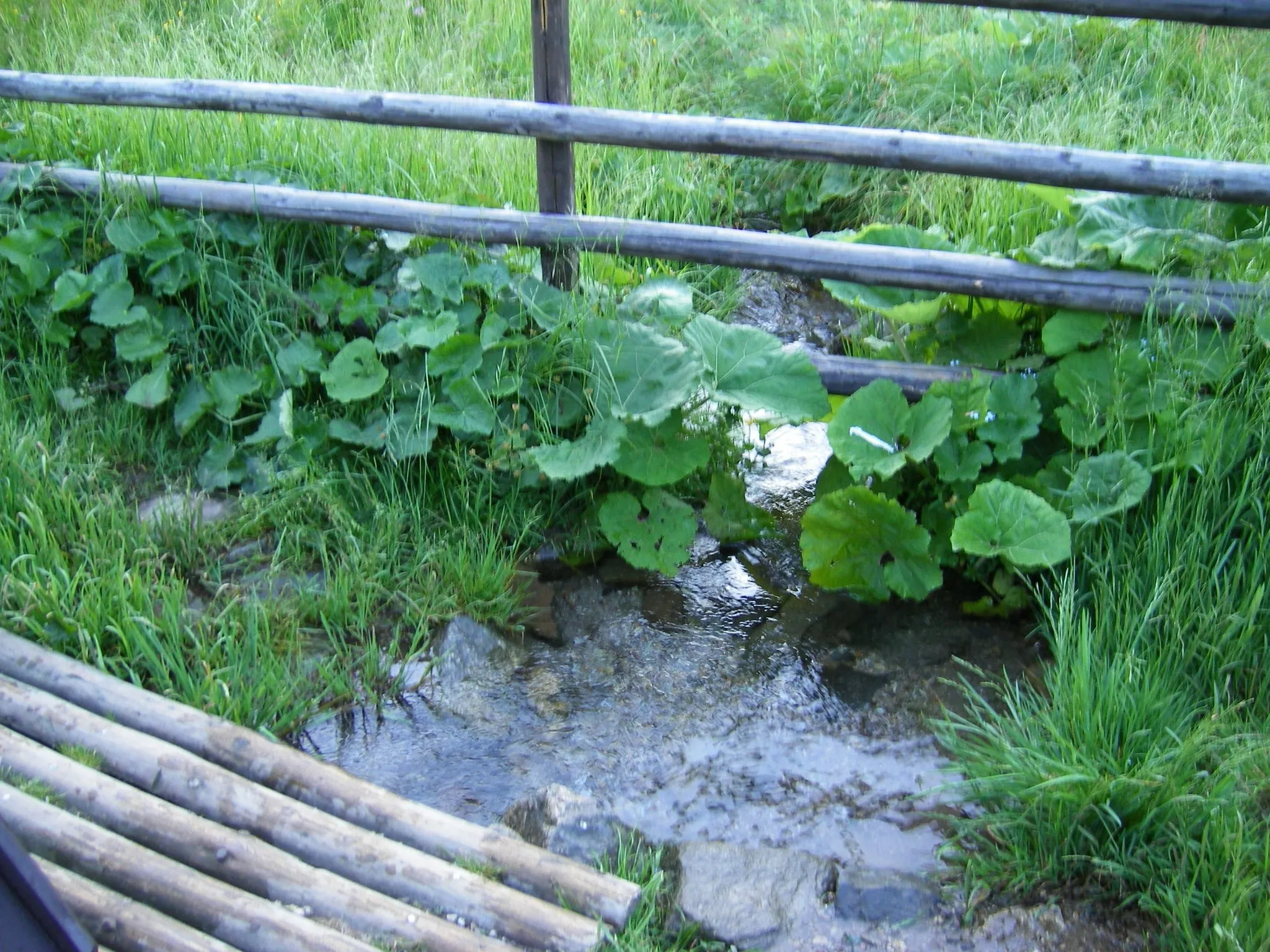 Photo showing: Source of the river Hron in Telgárt