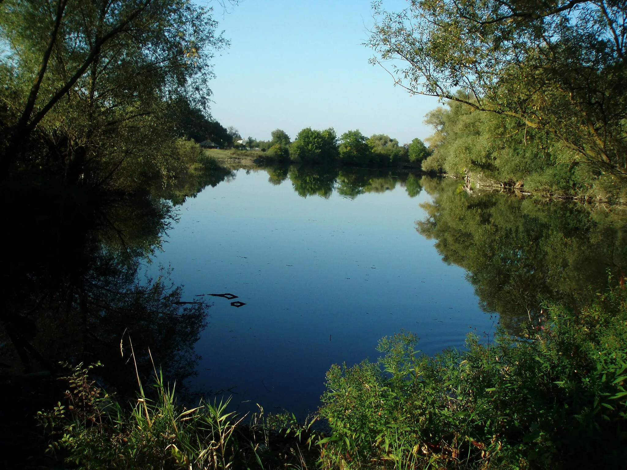 Photo showing: "Old Laborec" fish pond at the southeastern end of Veľké Raškovce during early autumn (September 2006).