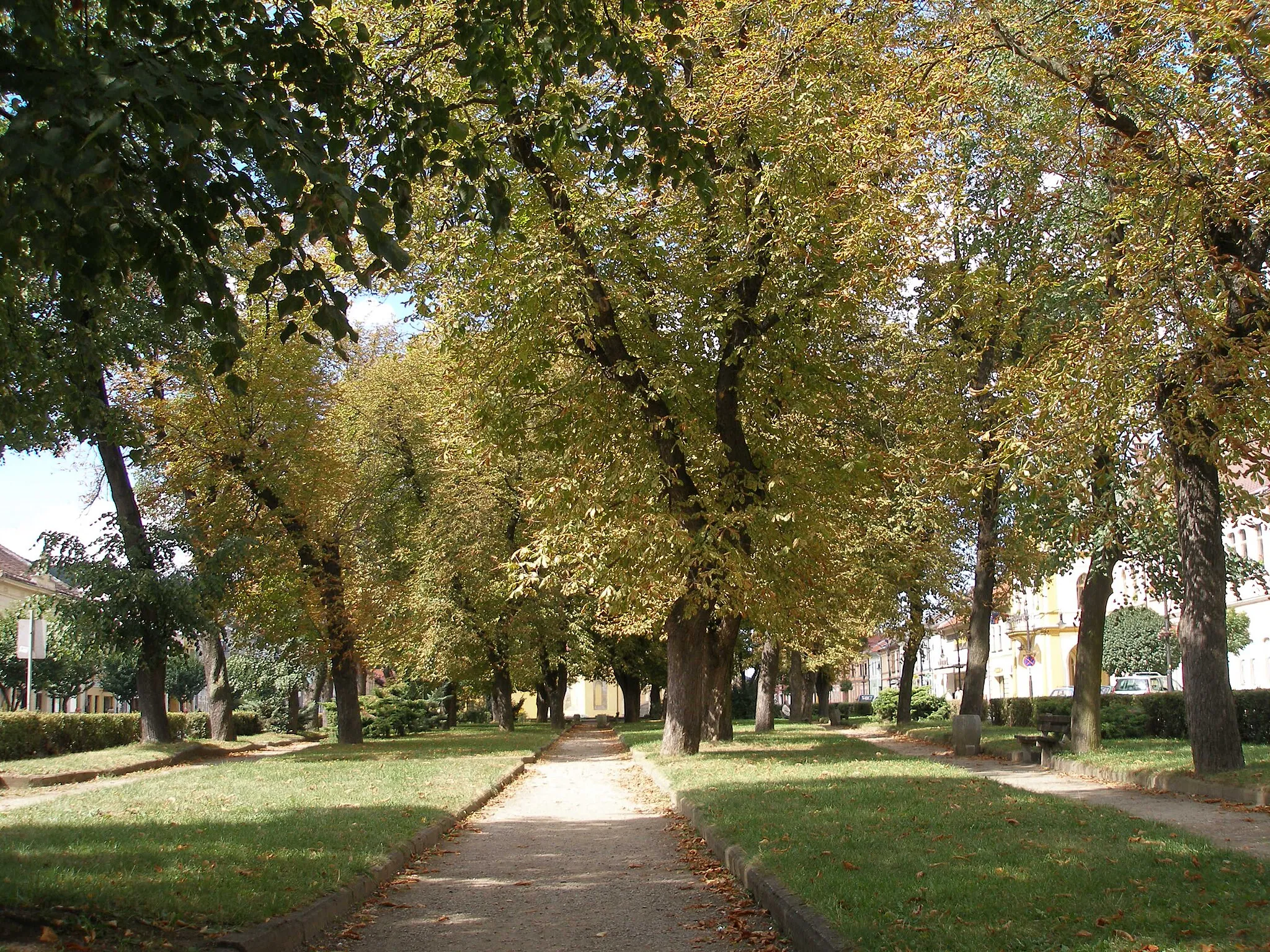 Photo showing: Sabinov starobylé bývalé slobodné kráľovské mesto na Slovensku. Dnes okresné mesto v regióne Šariš.