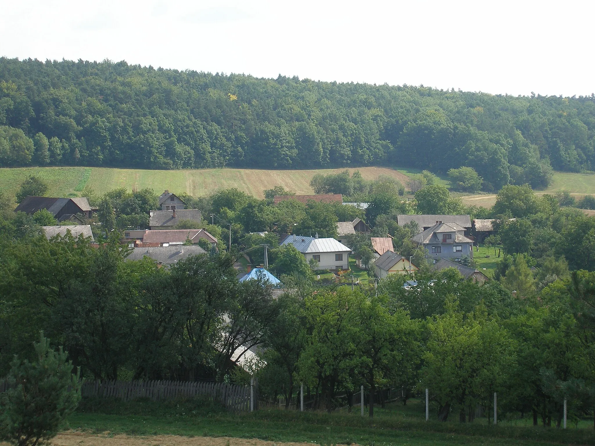 Photo showing: Šarišská obec Daletice