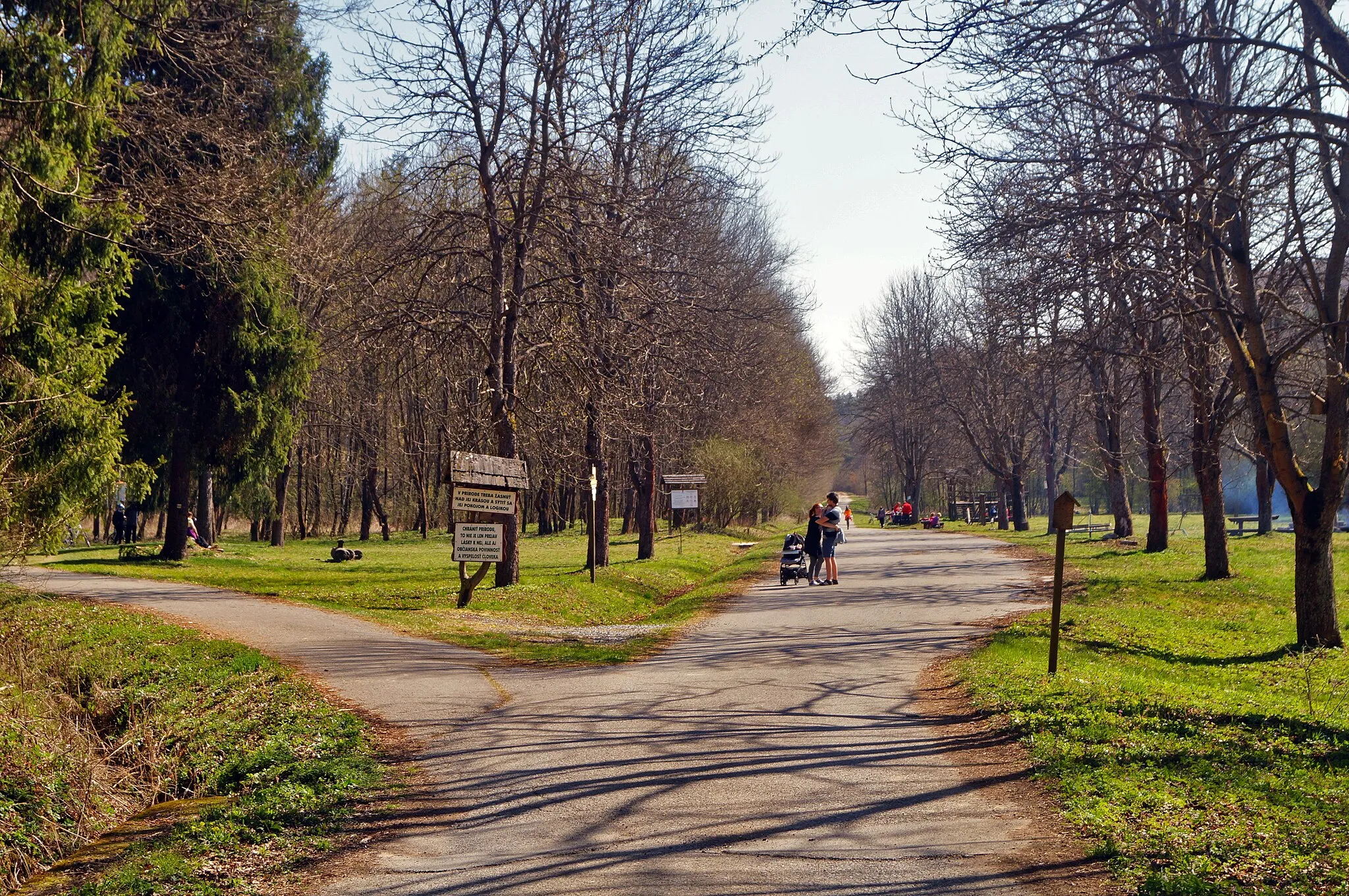 Photo showing: Lesopark na Cemjate - Kvašná voda