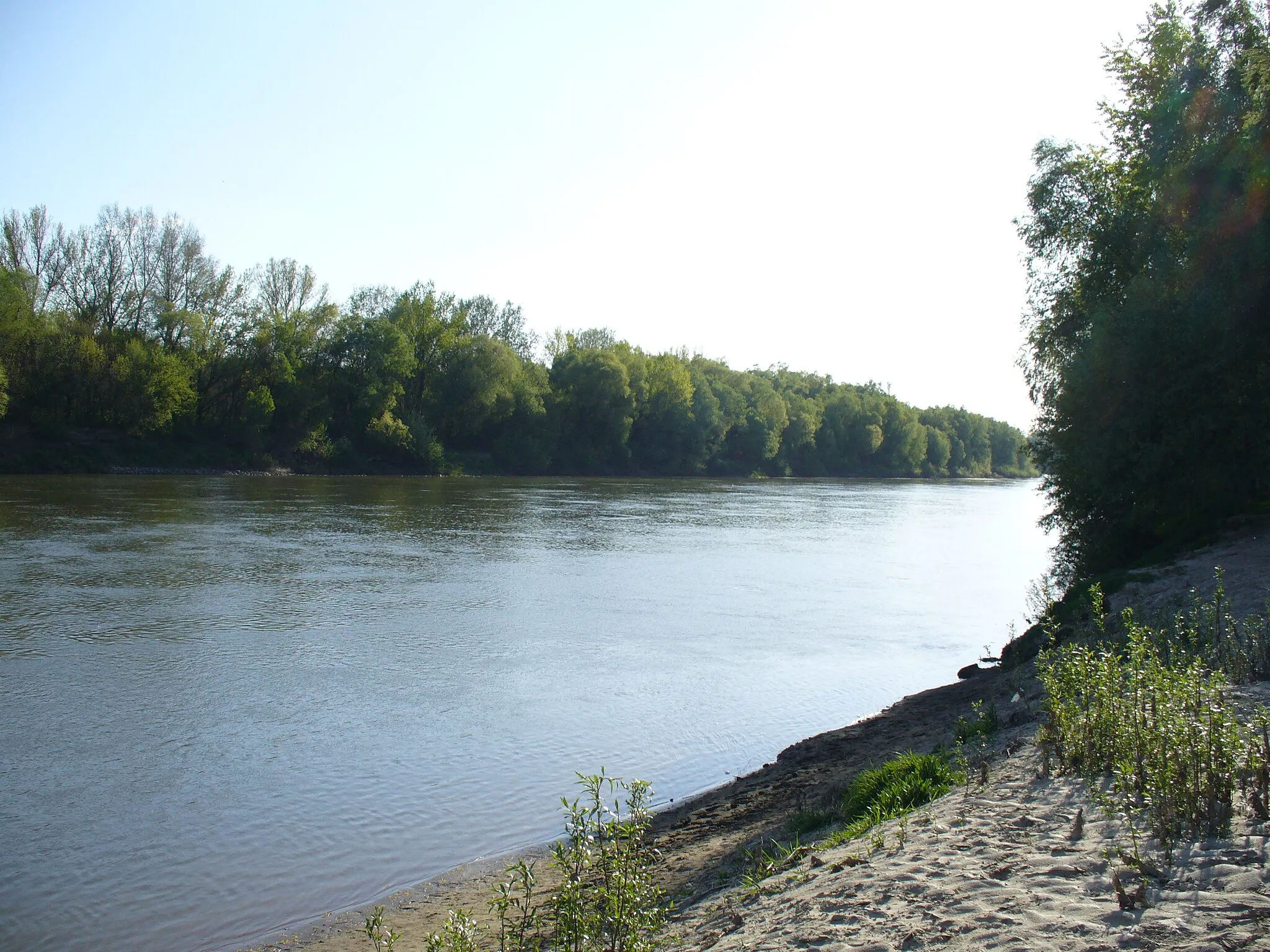 Photo showing: Tisza Malé Trakany - Kistárkány