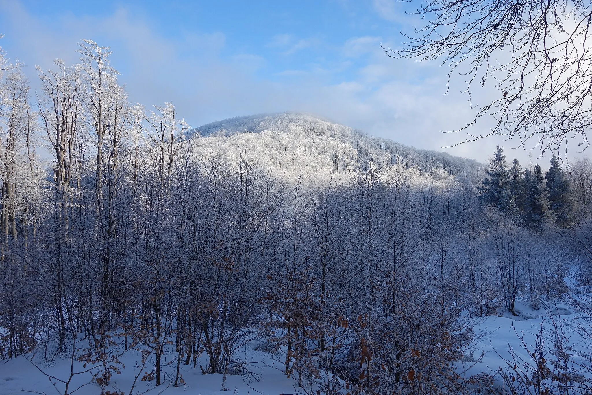 Photo showing: This is a a picture of a Natura 2000 protected area with ID