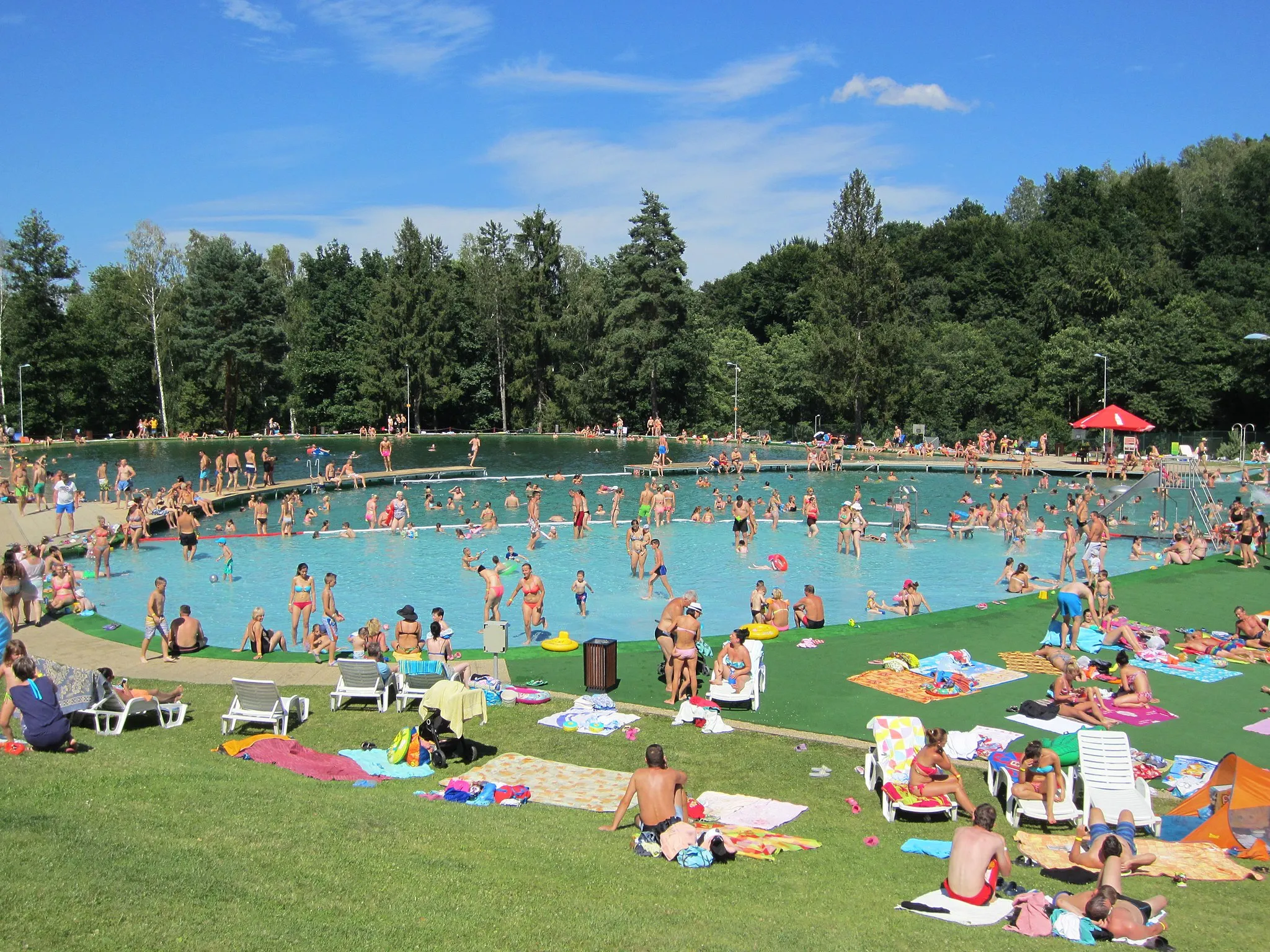 Photo showing: Biokúpalisko Sninské rybníky in July