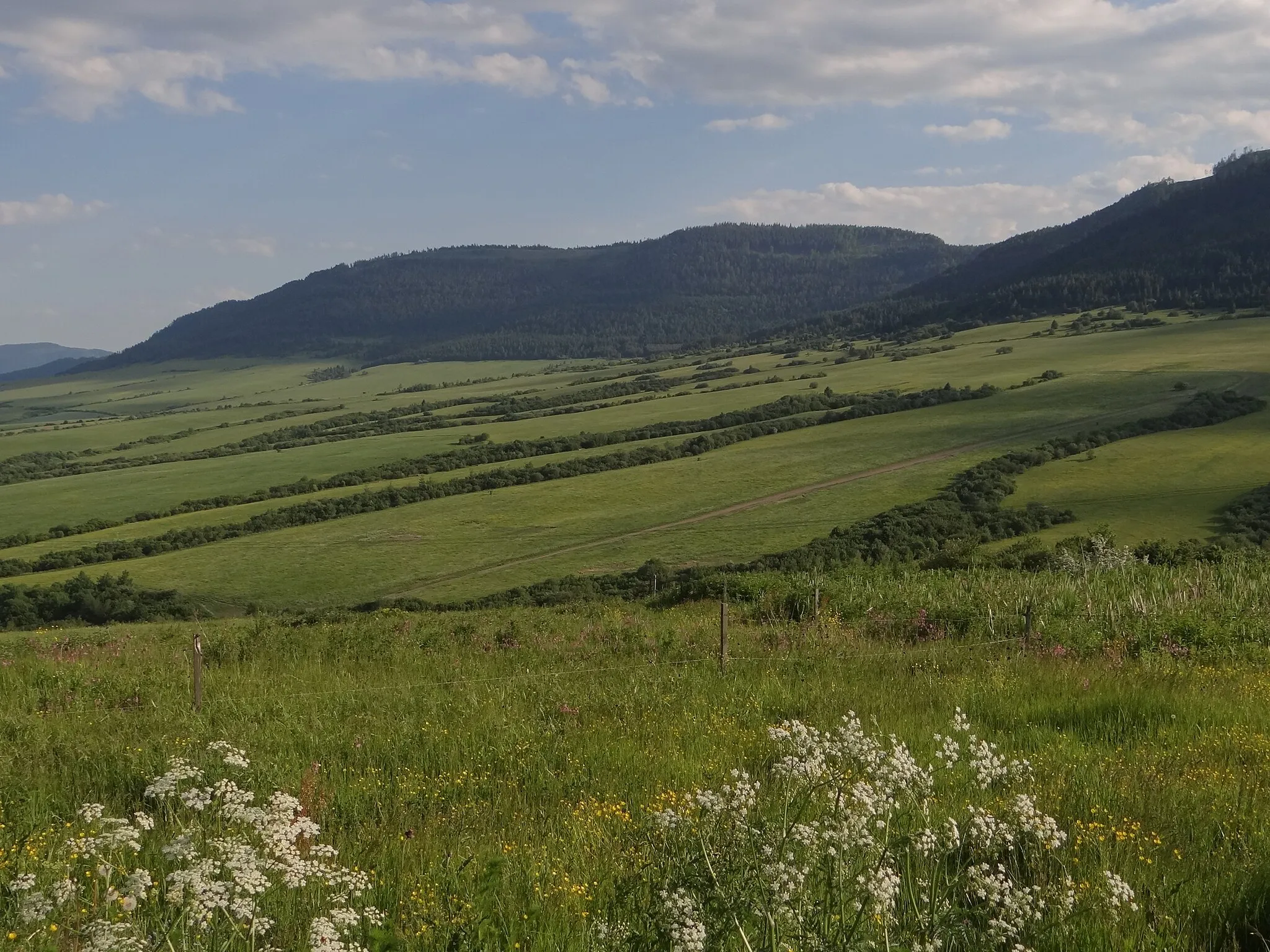 Photo showing: Levočské vrchy