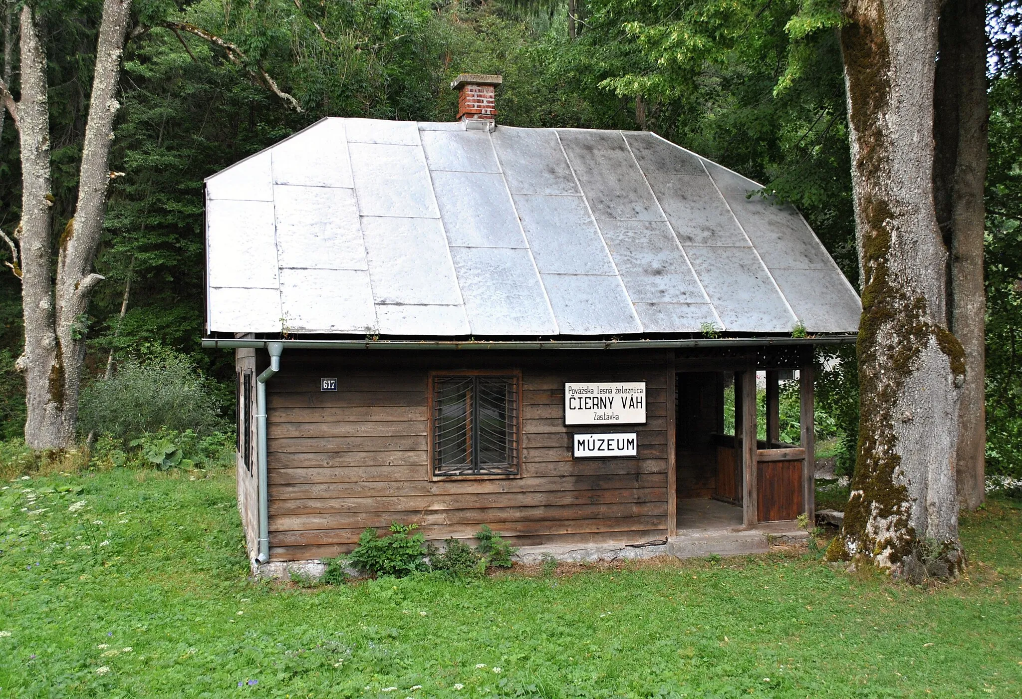 Photo showing: Čierny Váh - station of Vah River Forest Railway, August 2015