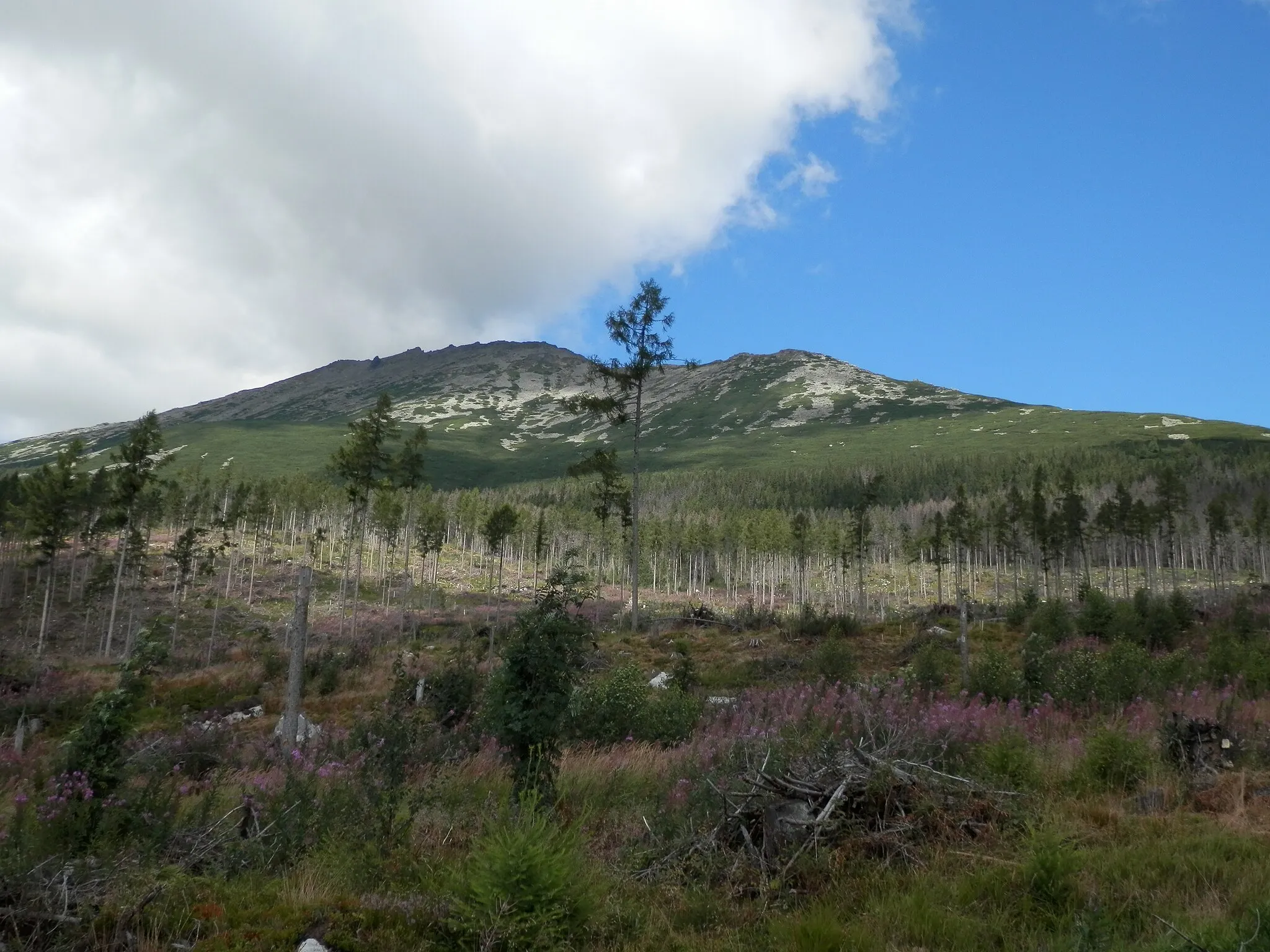 Photo showing: Pod Hrebienkom.Vysoké Tatry.