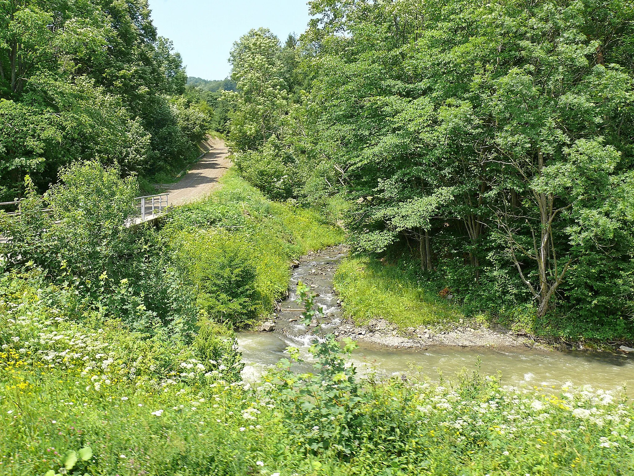 Photo showing: Żubracze, Bieszczady