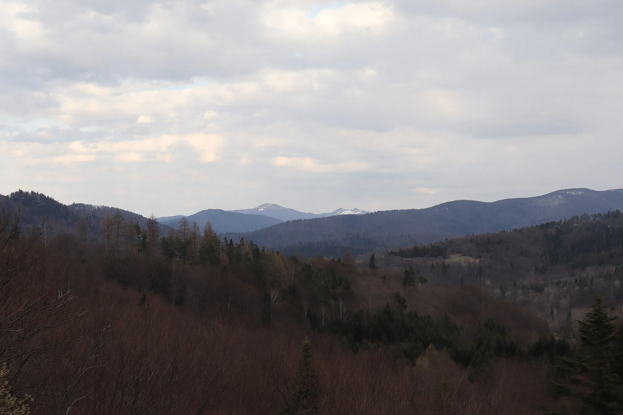 Photo showing: Żubracze - view from the "Szczerbanówka" viewing tower