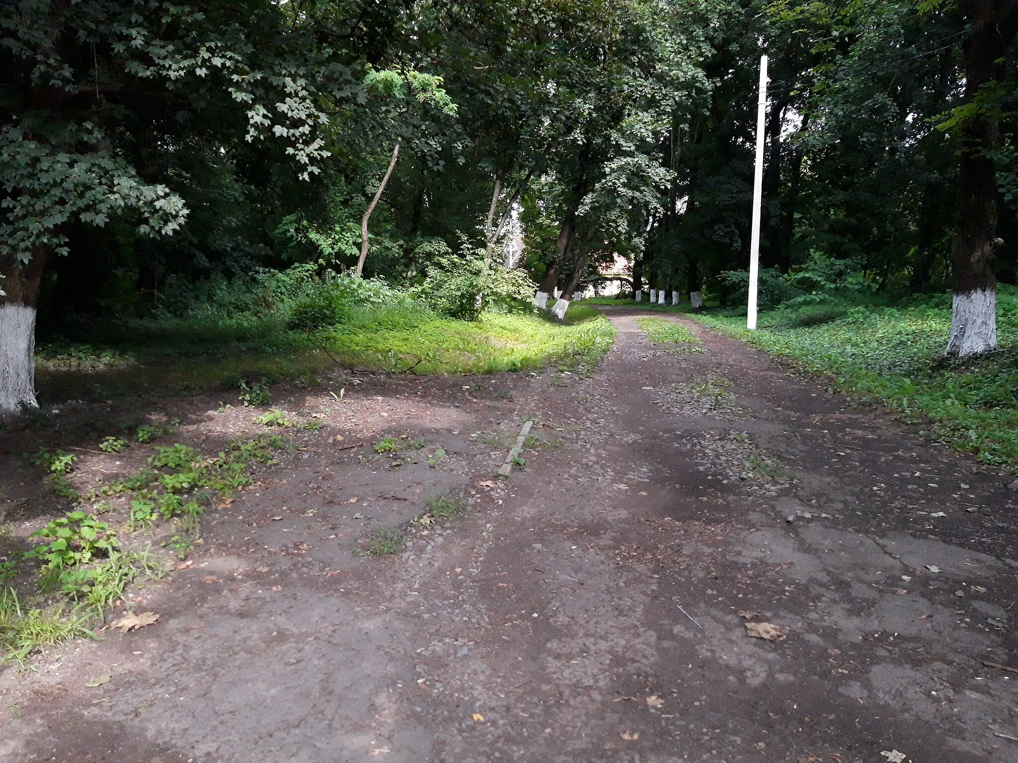 Photo showing: This is a photo of a natural heritage site in Ukraine, id: 21-248-2007