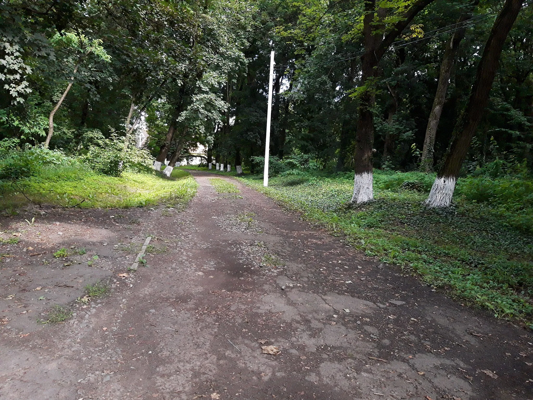 Photo showing: This is a photo of a natural heritage site in Ukraine, id: 21-248-2007