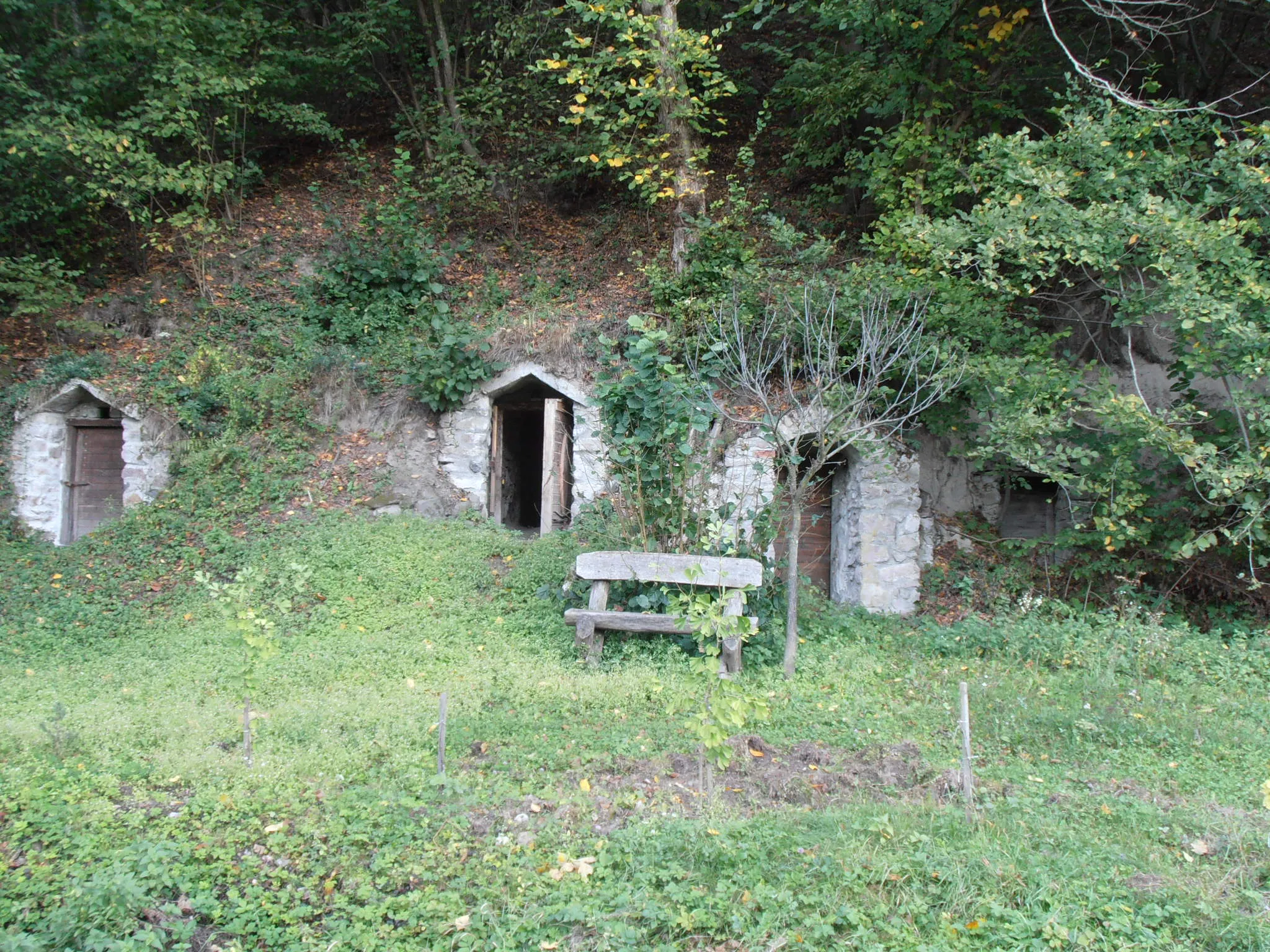 Photo showing: Hillside cellars in Kishuta, Hungary

Domboldalba ásott pincék Kishután