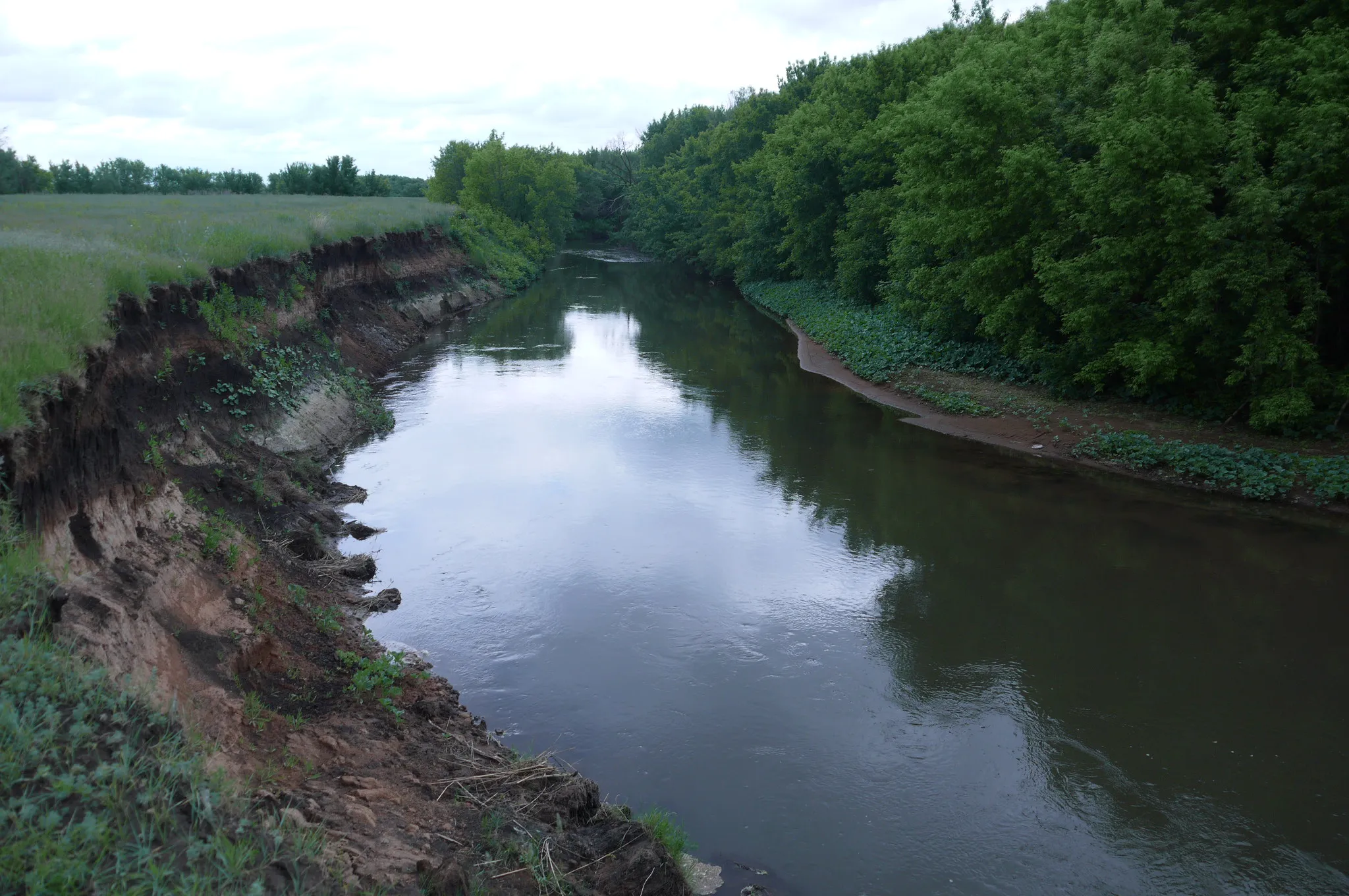 Photo showing: Река Ток в селе Старобогдановка