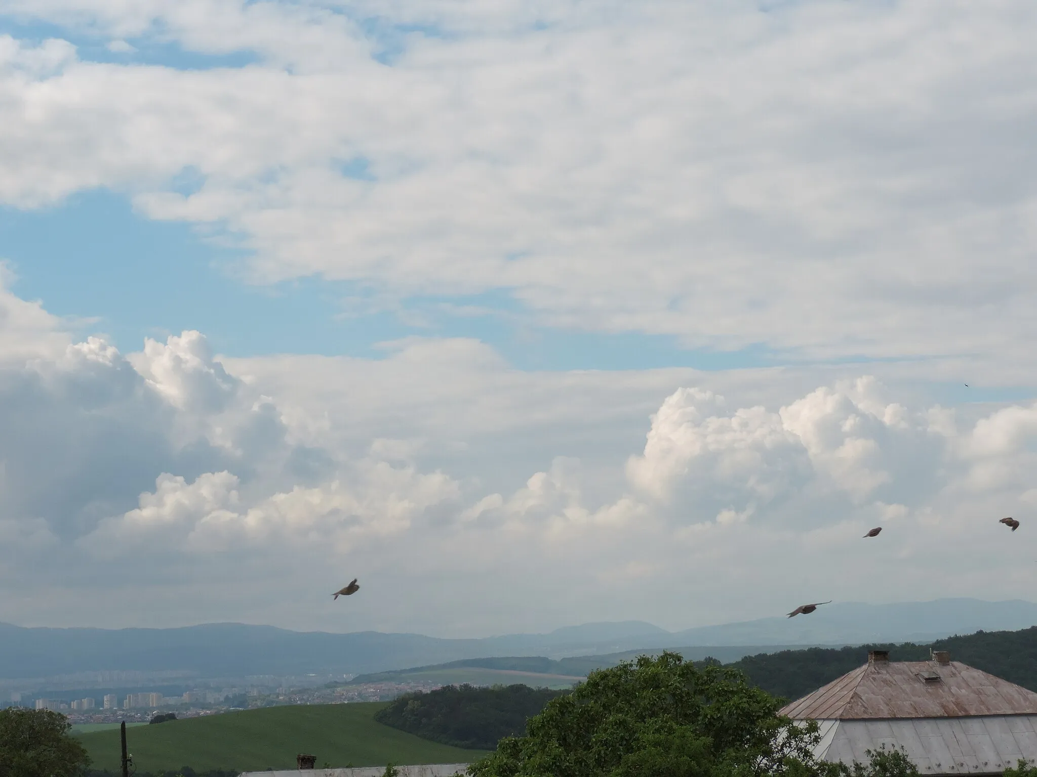 Photo showing: Vyšná Myšľa -  pohľad na Košice