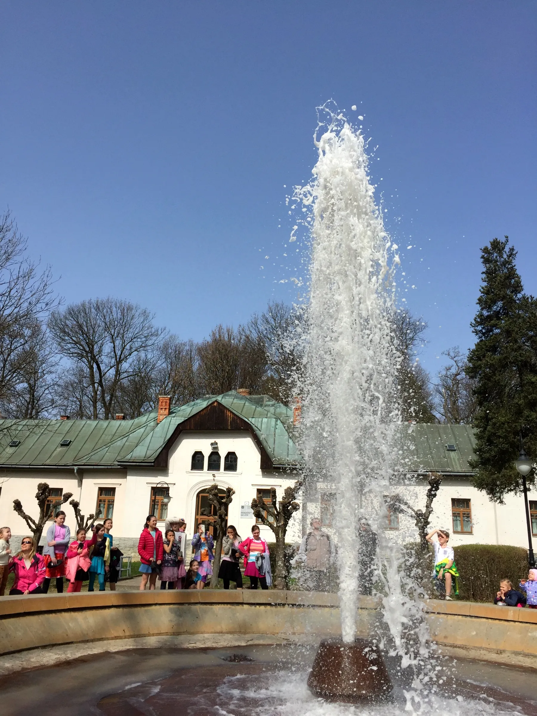 Photo showing: Geyser in Herlany