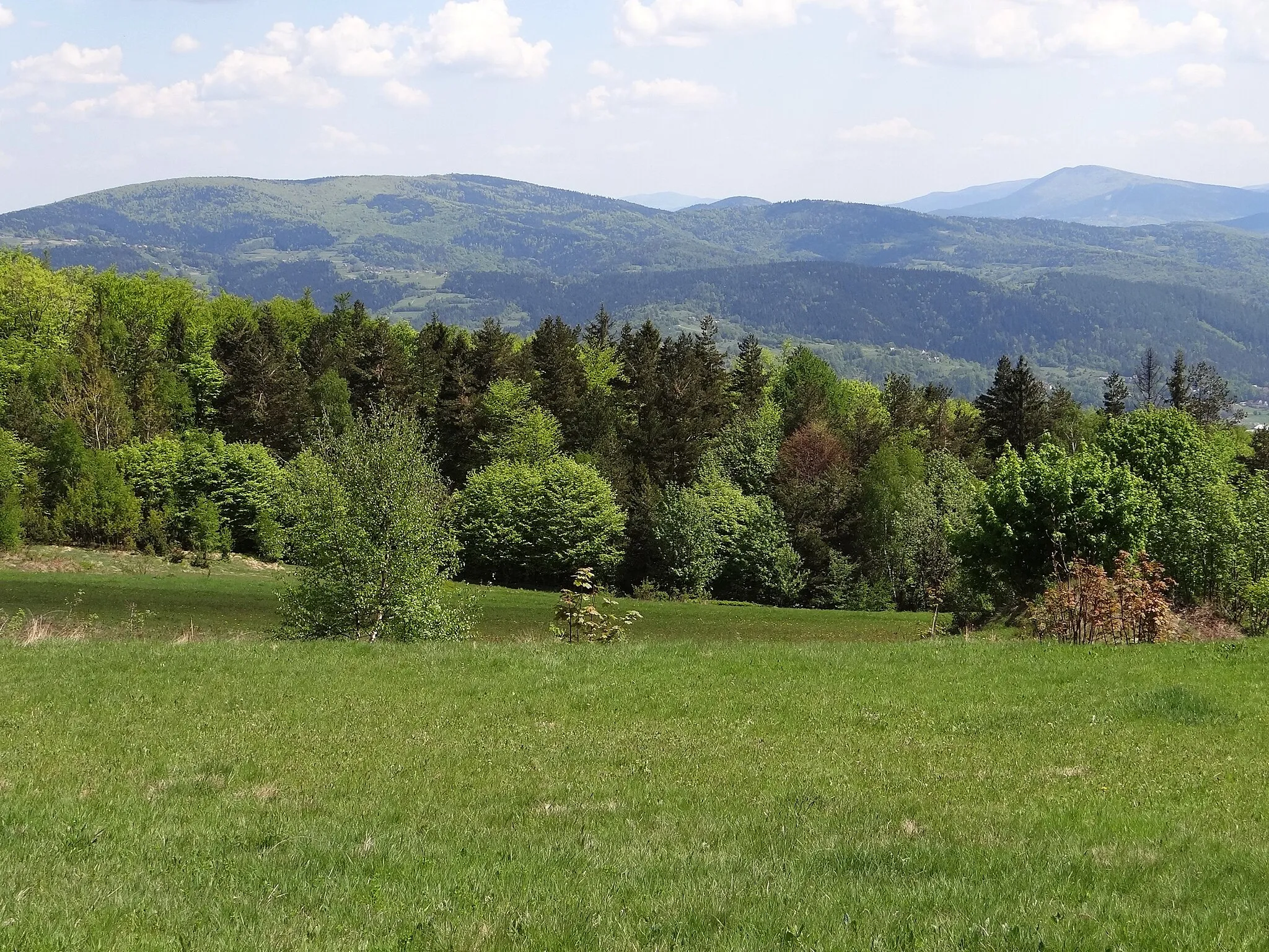 Photo showing: Polana Pękalówka w Beskidzie Makowskim i widok na Beskid Wyspowy (Łysina, przełęcz Weska, Patryja, Bania)