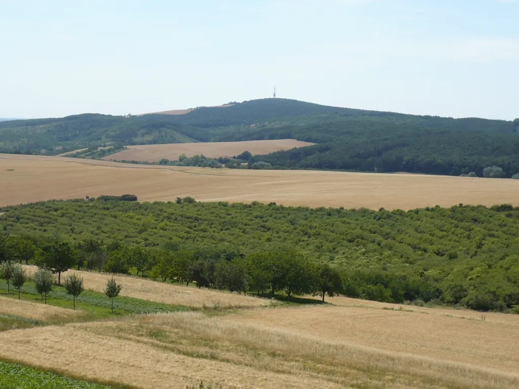 Photo showing: Observation Tower Bukovany mill - Windmill - example of the view