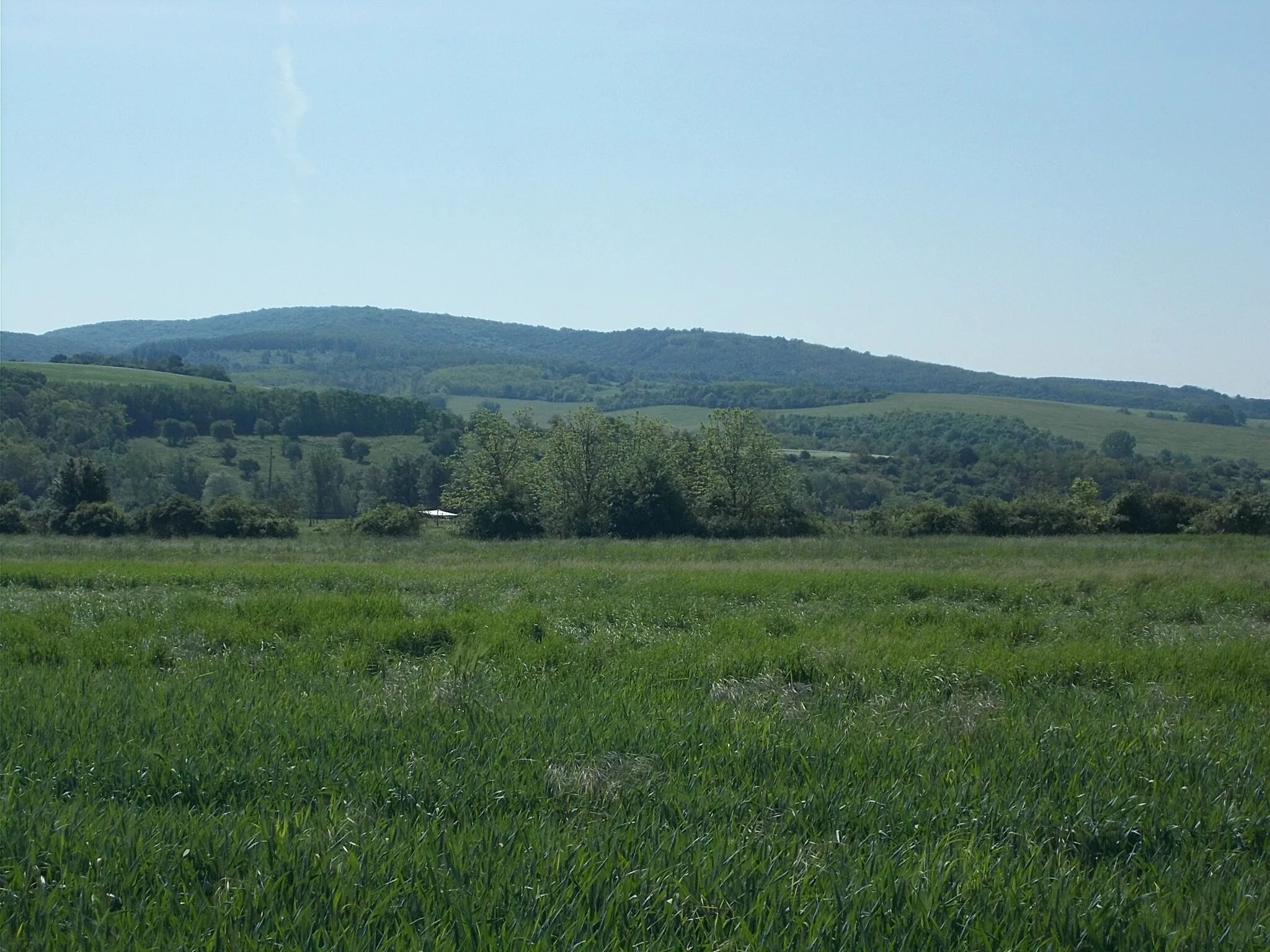 Photo showing: From Hegyalja Street looking towards Kis-Hegyes (303 m) Ság-oldal /Peak/ (365 m) - Ipolytölgyes, Pest County, Hungary.