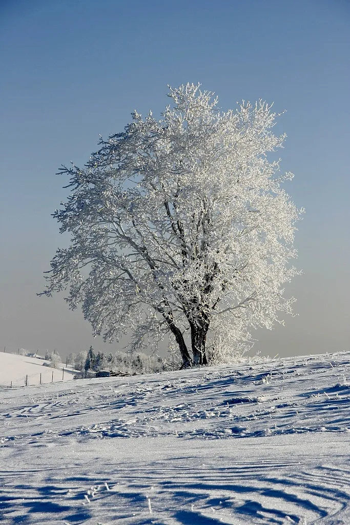 Photo showing: Vyškovec 2010