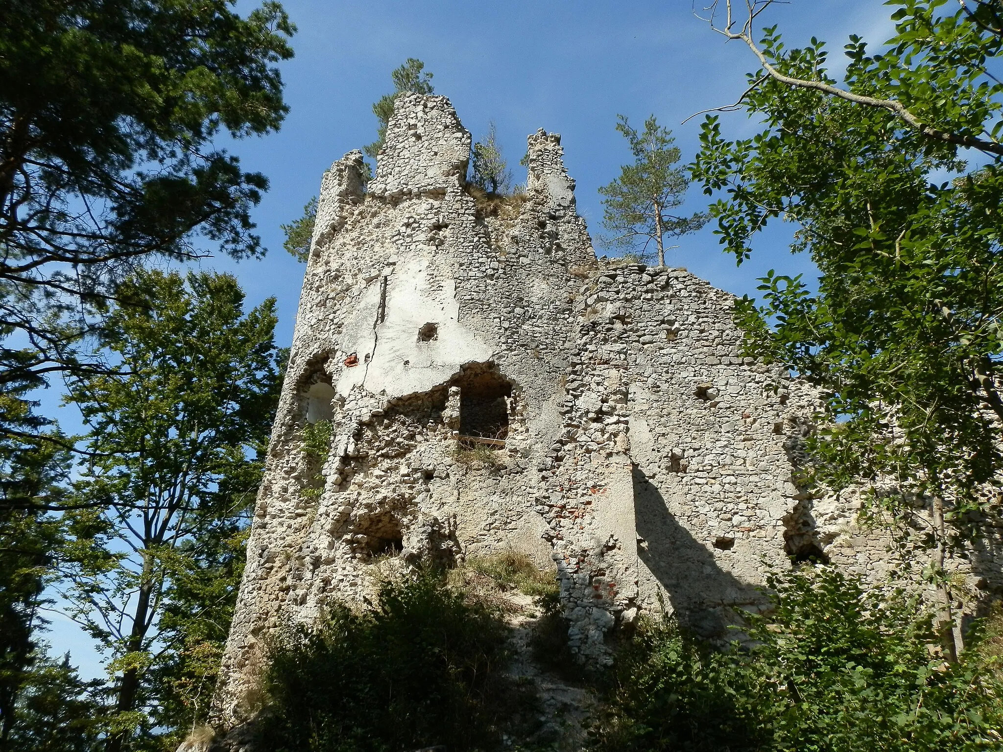 Photo showing: Rozpadávajúce sa hradné múry