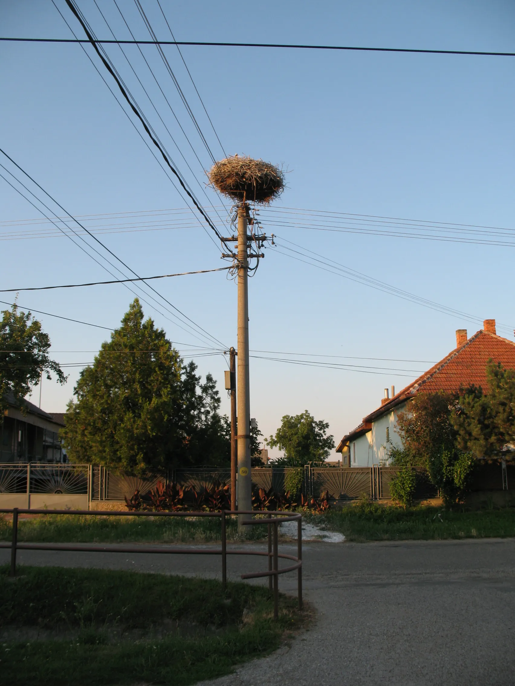 Photo showing: Megyercs gólyafészek