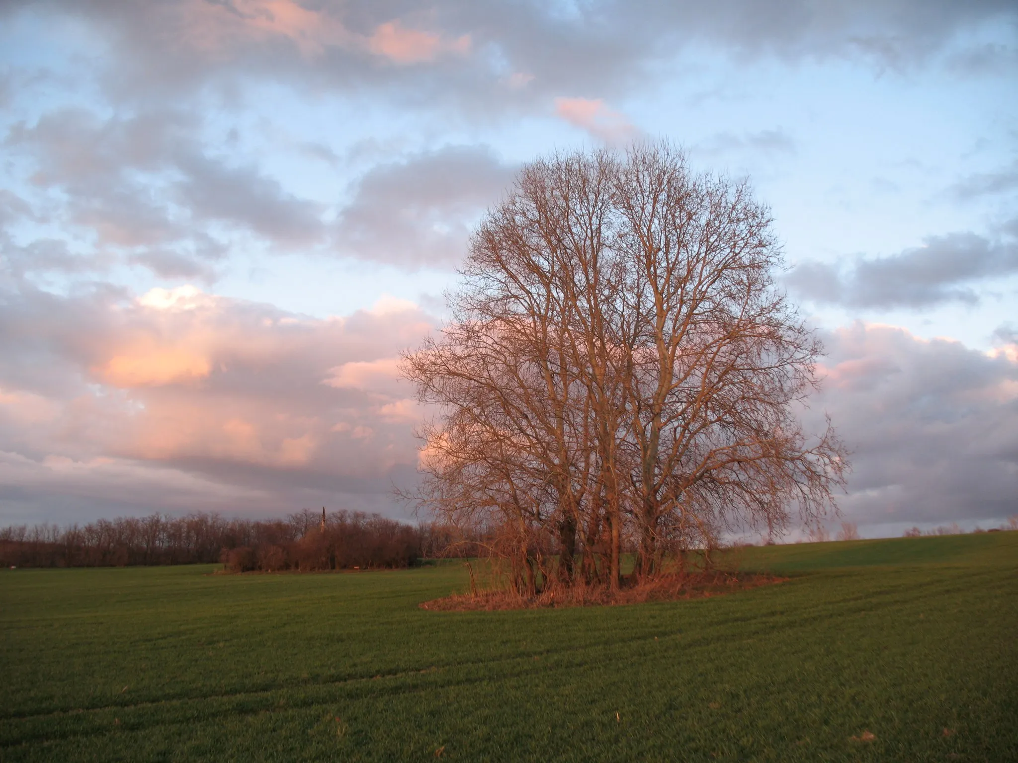 Photo showing: Nemespann kút