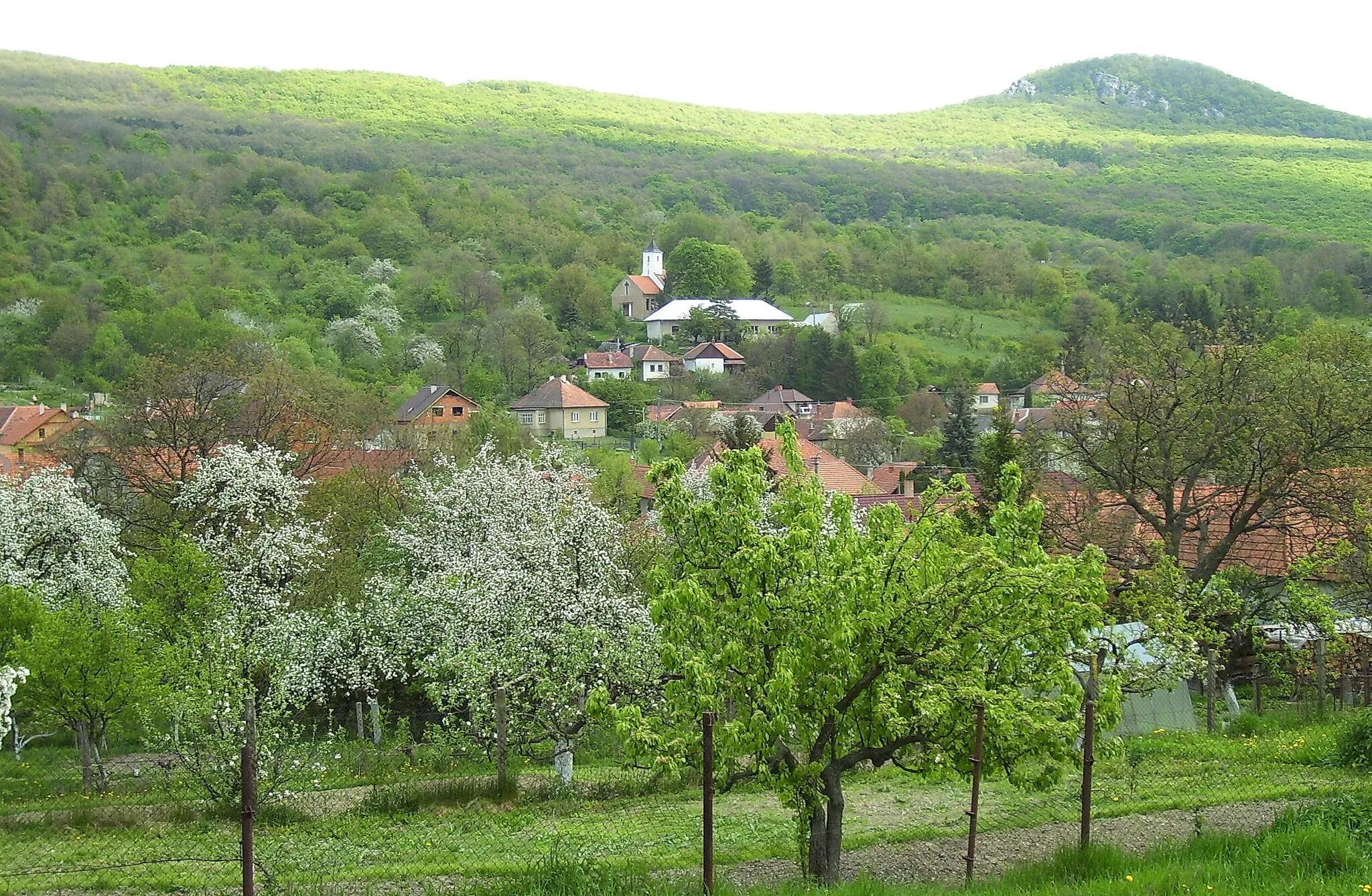 Photo showing: View of Kostoľany pod Tribecom (Hungarian: Gimeskosztolany) in Slovakia.
