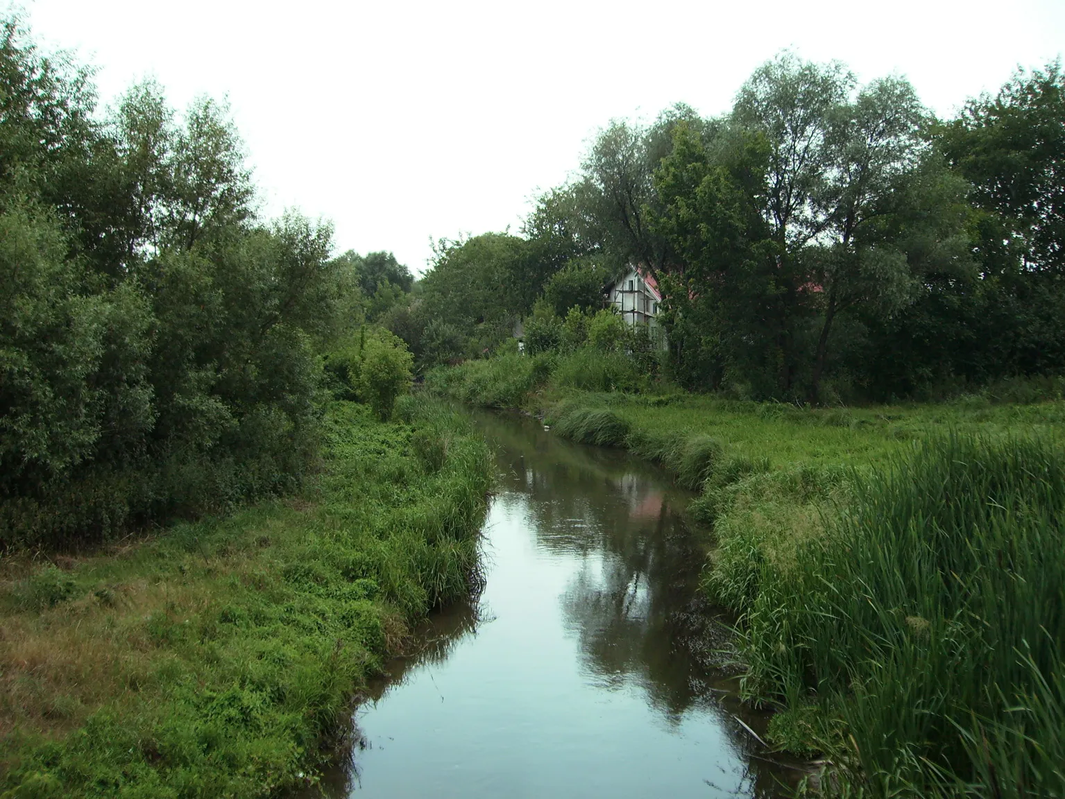 Photo showing: Side channel rivers Little Nitra (Before Old Nitra) in village Komjatice