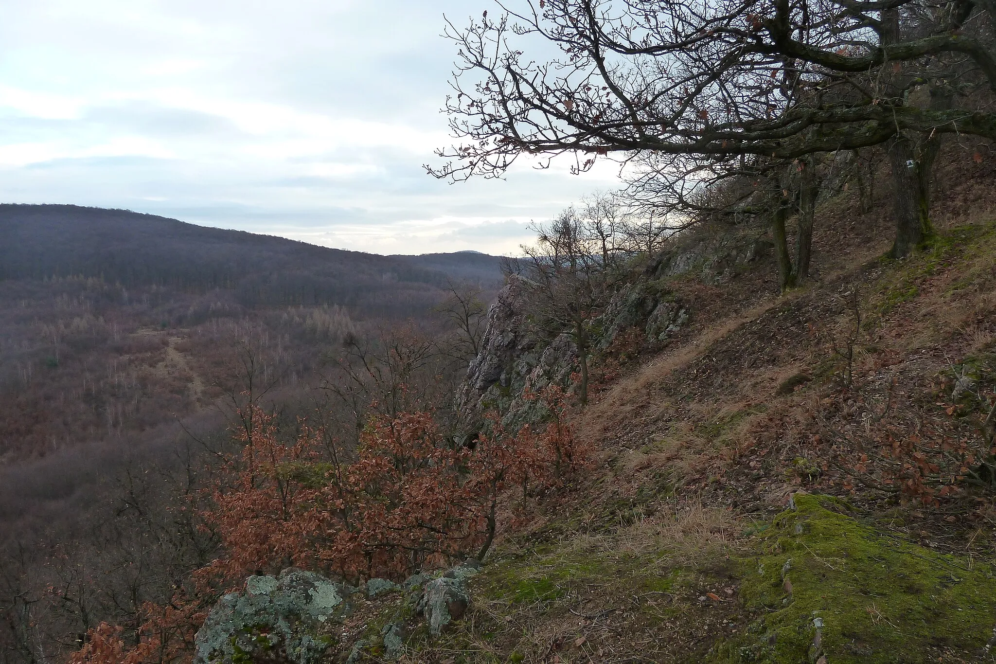 Photo showing: Mihalov vrch, novšie Michalov vrch, východná stráň, pohľad na juh, územie európskeho významu Hôrky (SKUEV2133)