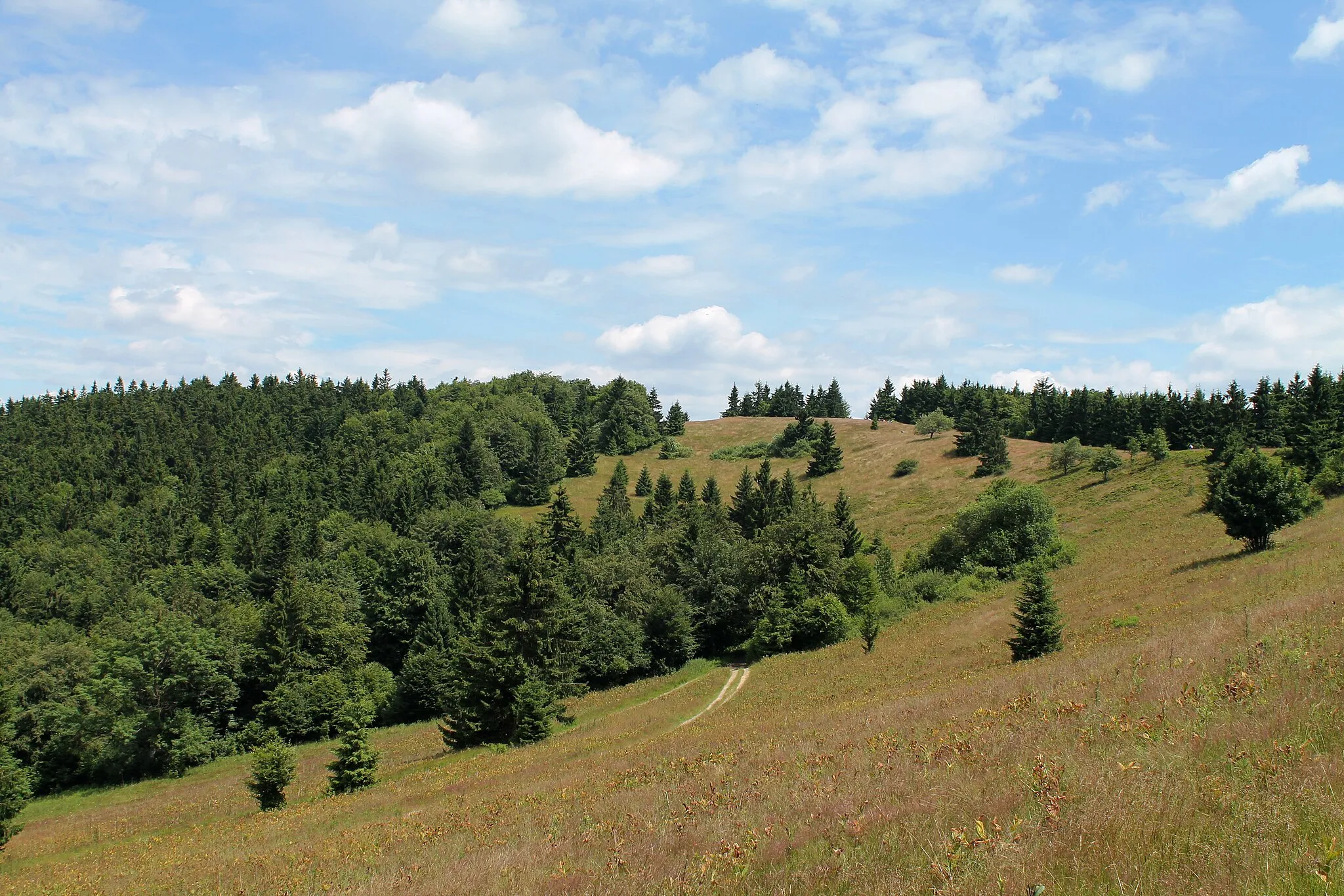 Photo showing: Veľký Javorník from Gežov saddle, Makov, Čadca District, Slovakia